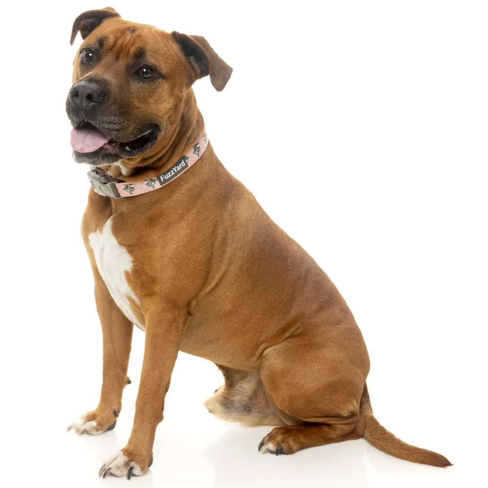 15% OFF: FuzzYard Dog Collar (LL Cool Jaw$)