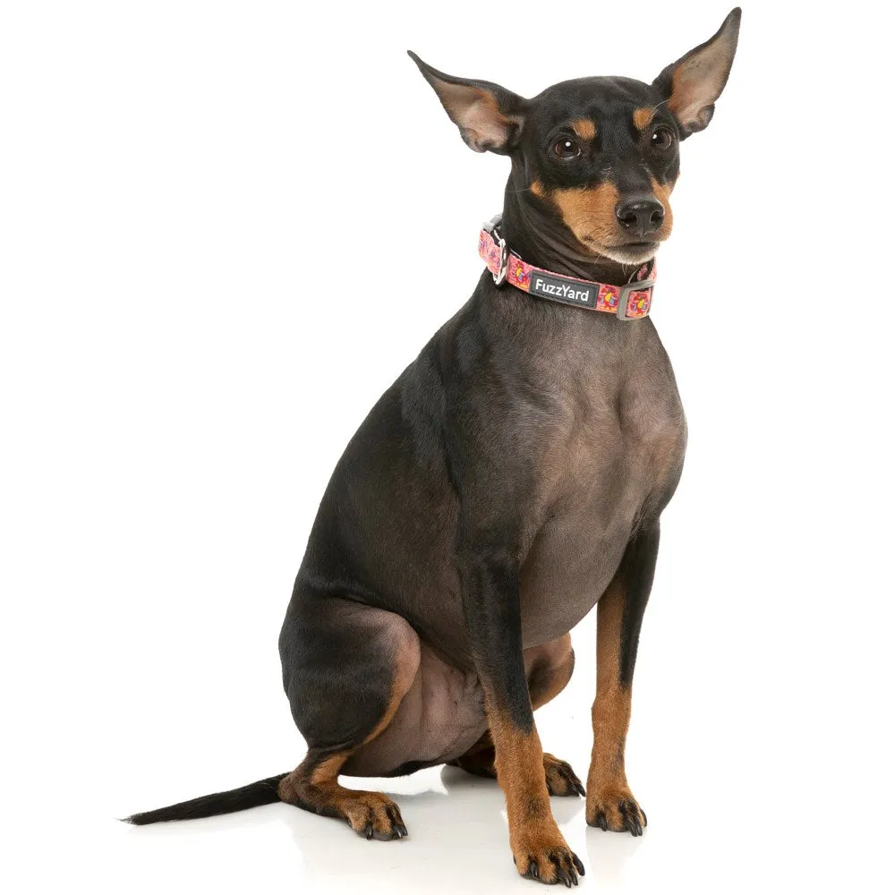 15% OFF: FuzzYard Dog Collar (Two-Cans)