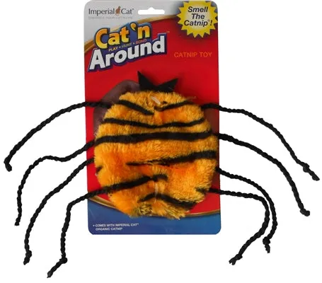 2 in 1 Halloween Cat Scratcher Gift Set