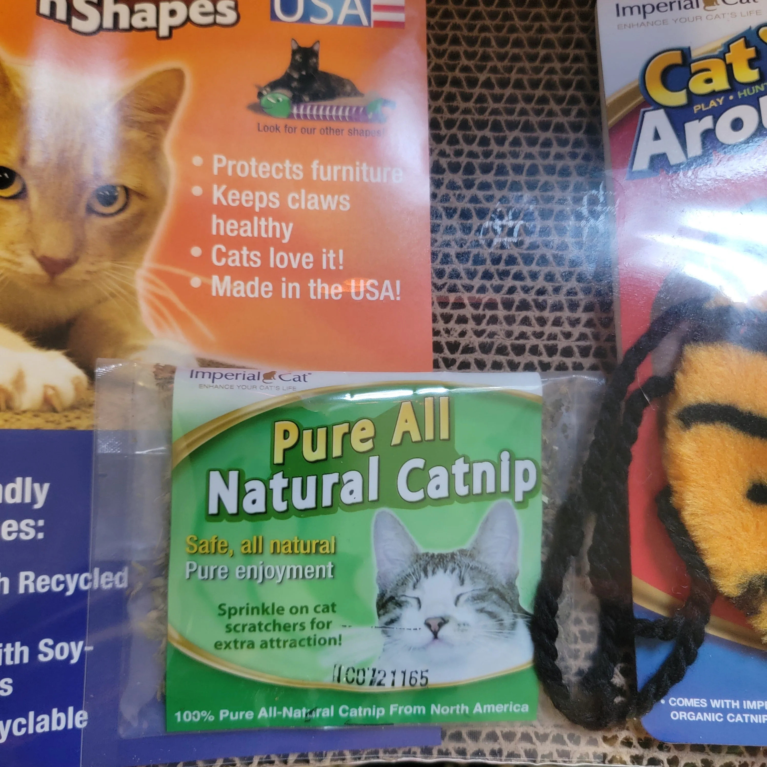 2 in 1 Halloween Cat Scratcher Gift Set