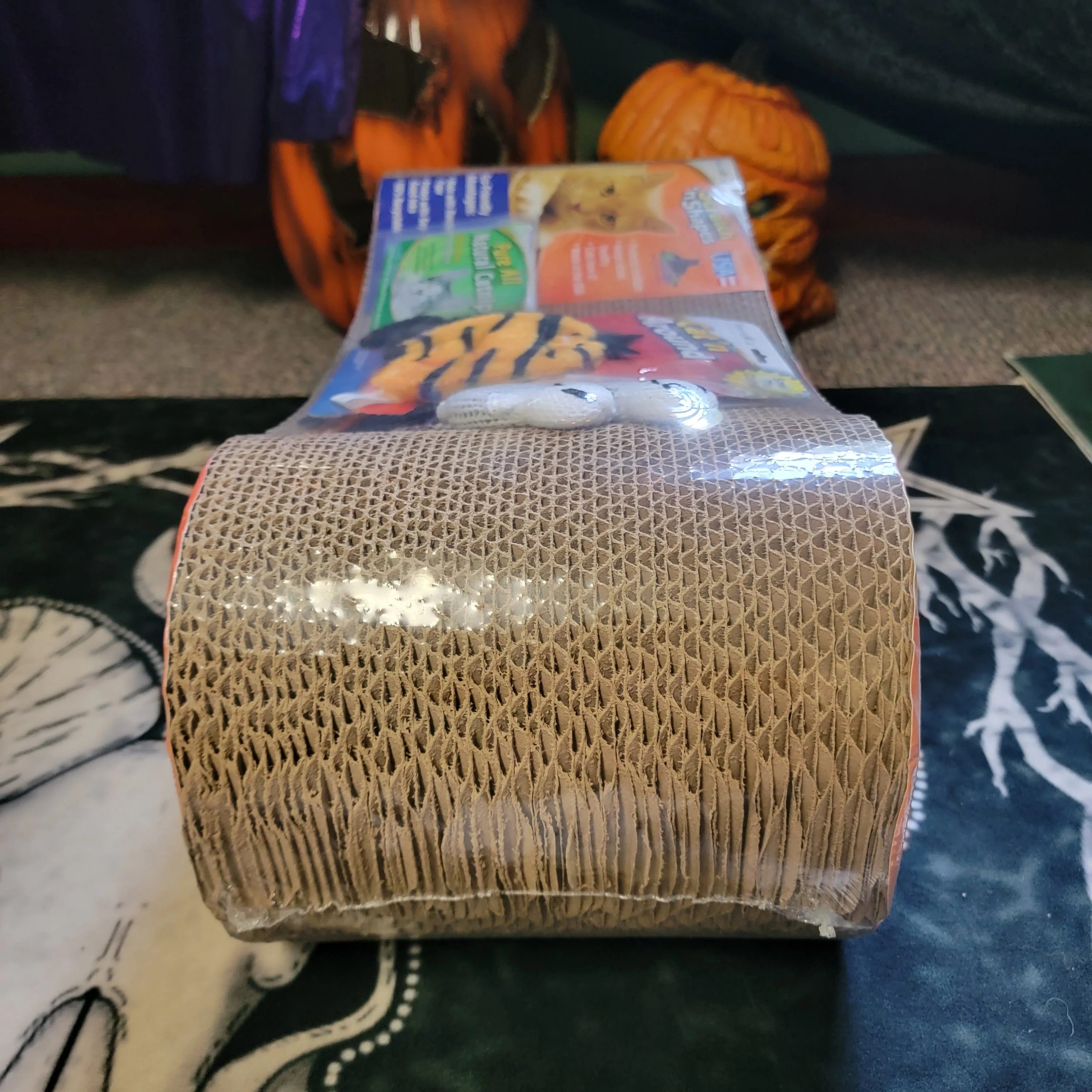 2 in 1 Halloween Cat Scratcher Gift Set