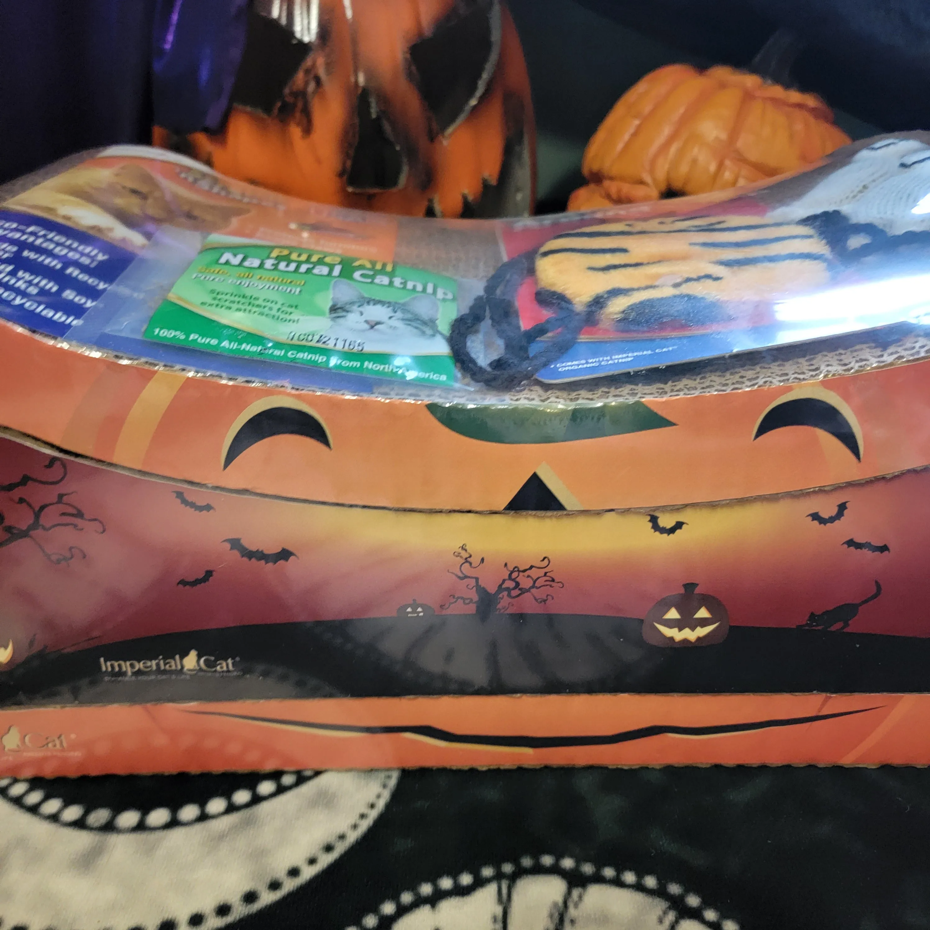 2 in 1 Halloween Cat Scratcher Gift Set