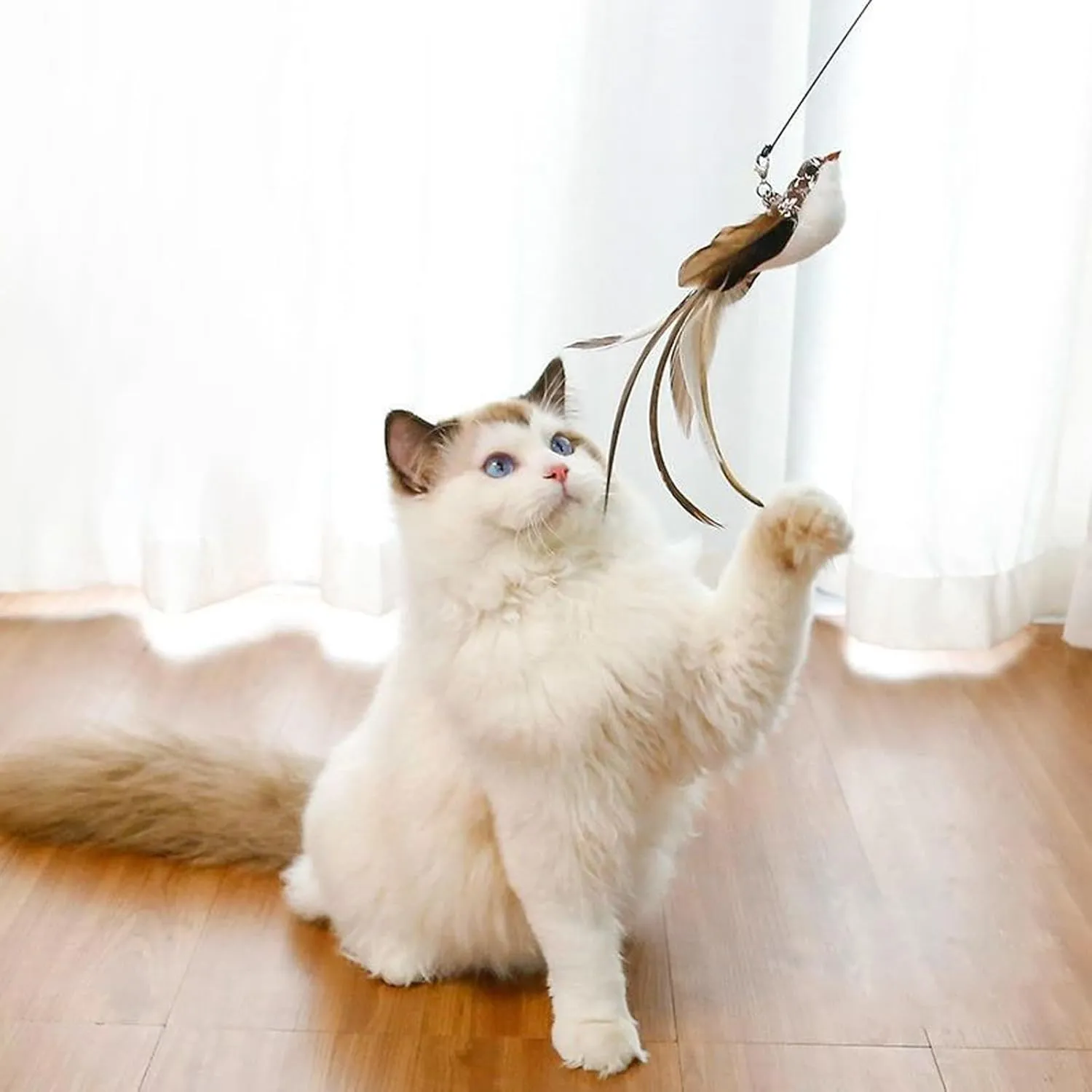 6 Pieces Cat Feather Toys Replacement Bird Insect Cat Toy Wand Refills Cats Toy Replacement Natural Bird Feathers for Cats Toys