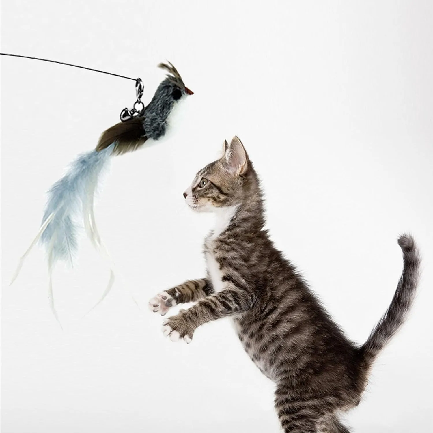 6 Pieces Cat Feather Toys Replacement Bird Insect Cat Toy Wand Refills Cats Toy Replacement Natural Bird Feathers for Cats Toys