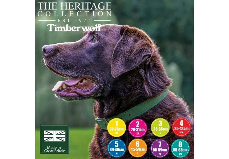 Ancol - Timberwolf Leather Collar - Green - 39-48cm (Size 5)