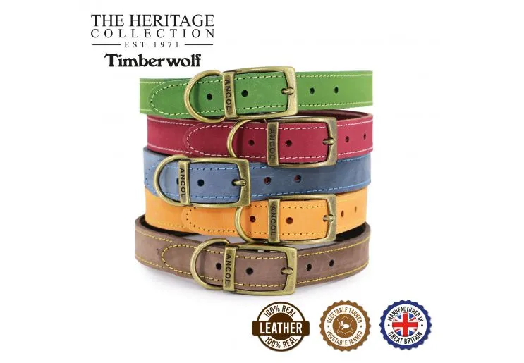 Ancol - Timberwolf Leather Collar - Green - 39-48cm (Size 5)