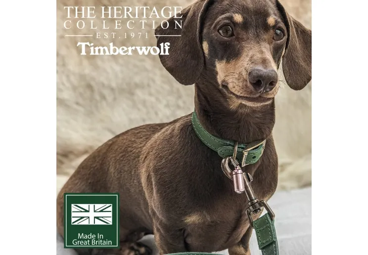 Ancol - Timberwolf Leather Collar - Green - Size 8 (55-63cm)