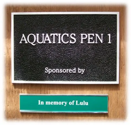Aquatic Pen - Wild ARC