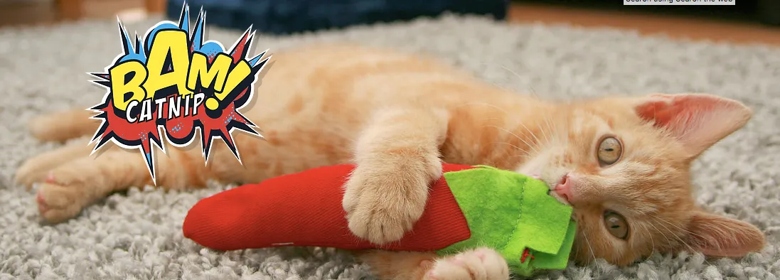 BAM® Pepper Catnip Toy