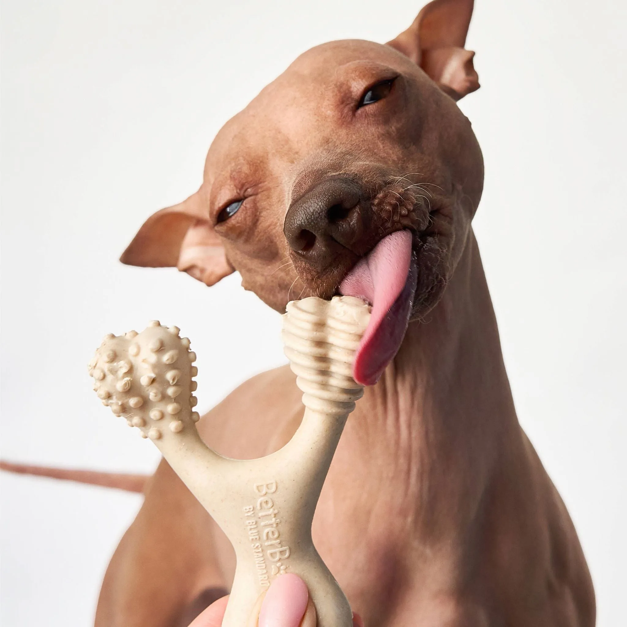BetterBone Medium Density Beef Flavored Dental Chew Toy For Dogs