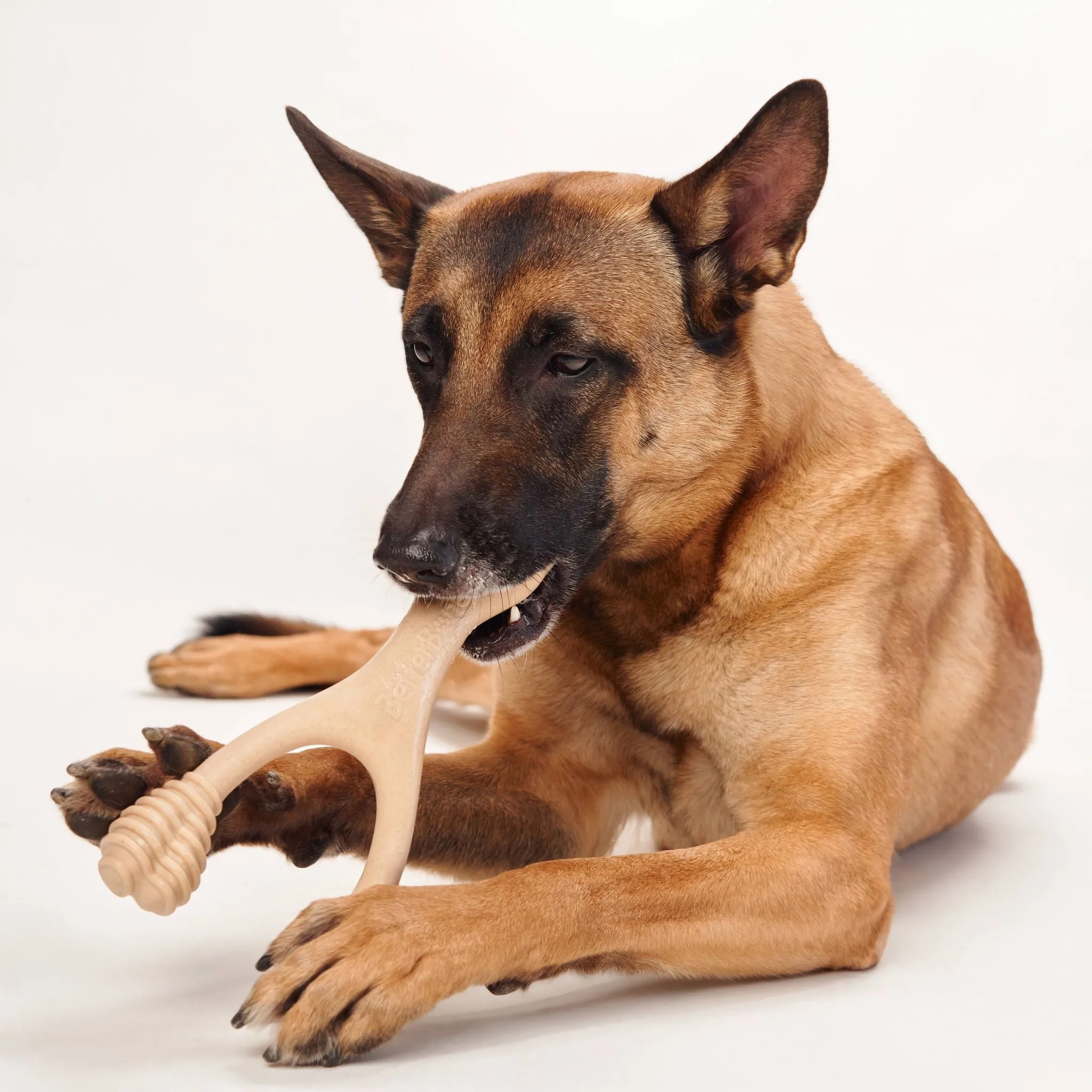 BetterBone Medium Density Beef Flavored Dental Chew Toy For Dogs