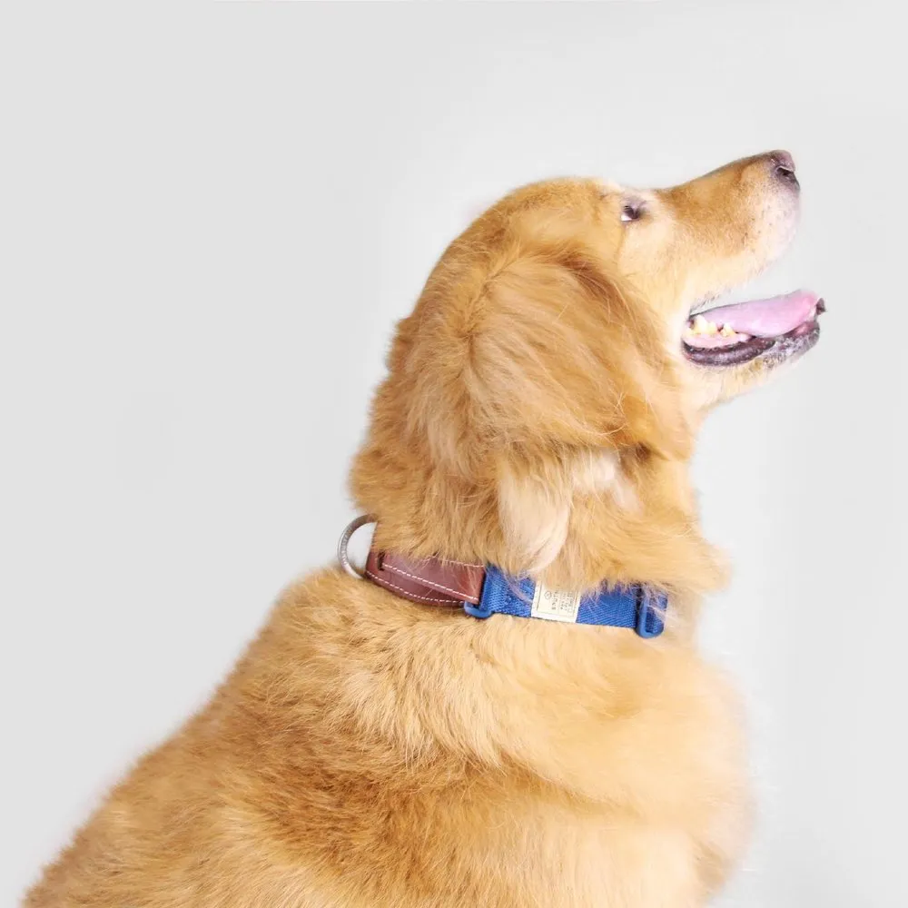 BUNDLE DEAL: Sputnik Nylon Dog Collar   Multifunctional Leash Set (Red)