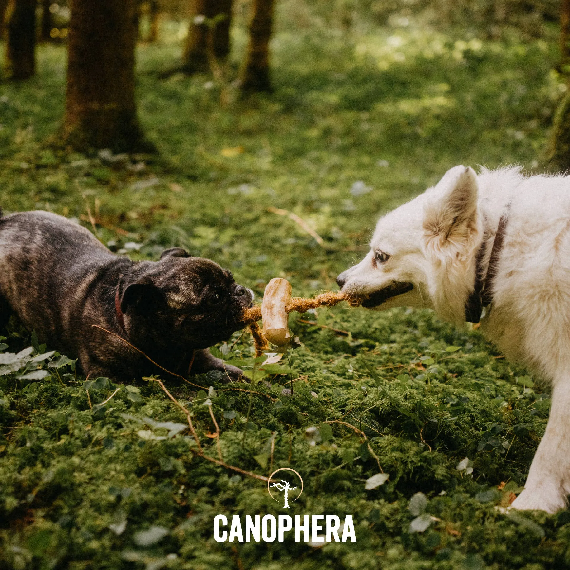 Canophera LLC Coffee Wood and Coconut Dog Rope