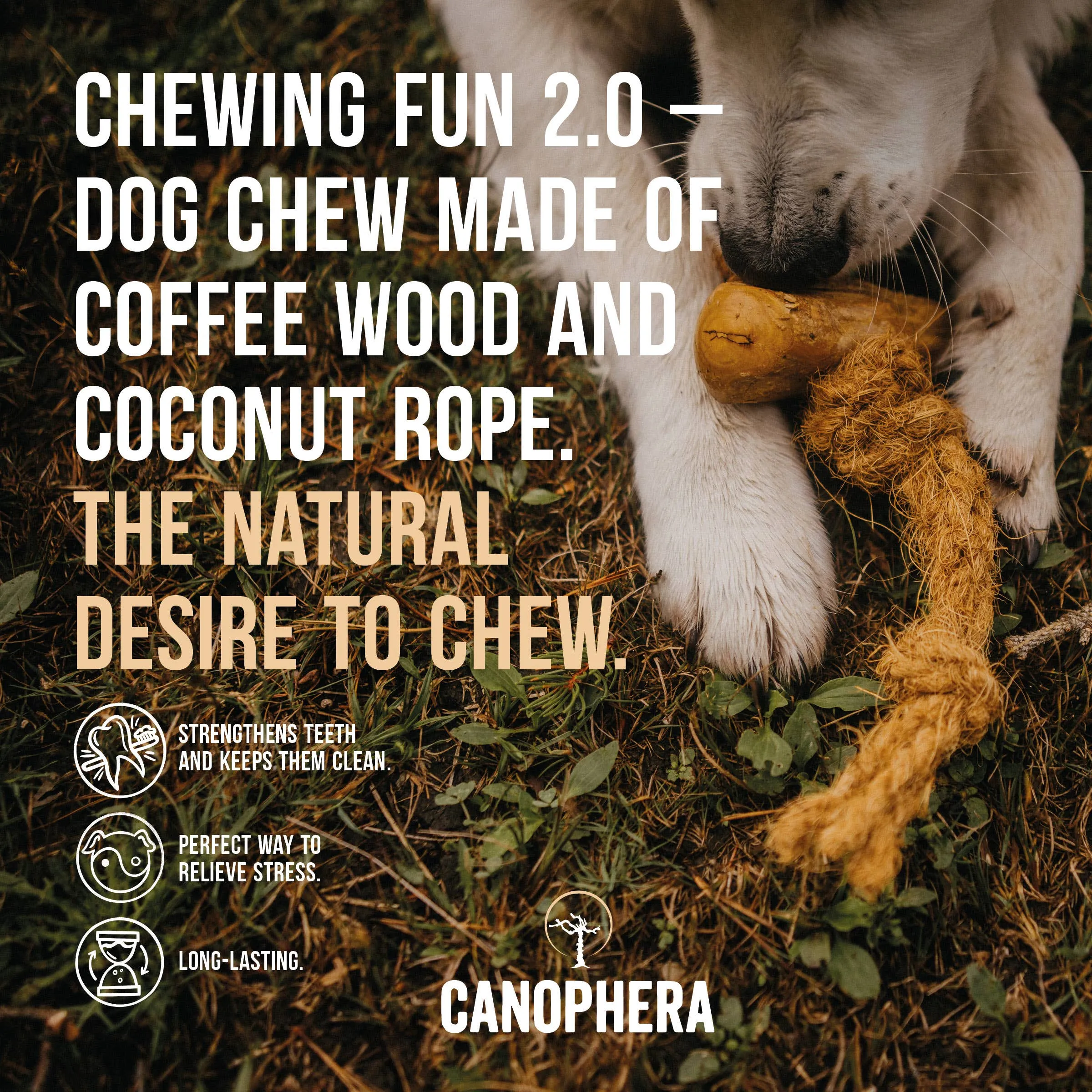 Canophera LLC Coffee Wood and Coconut Dog Rope