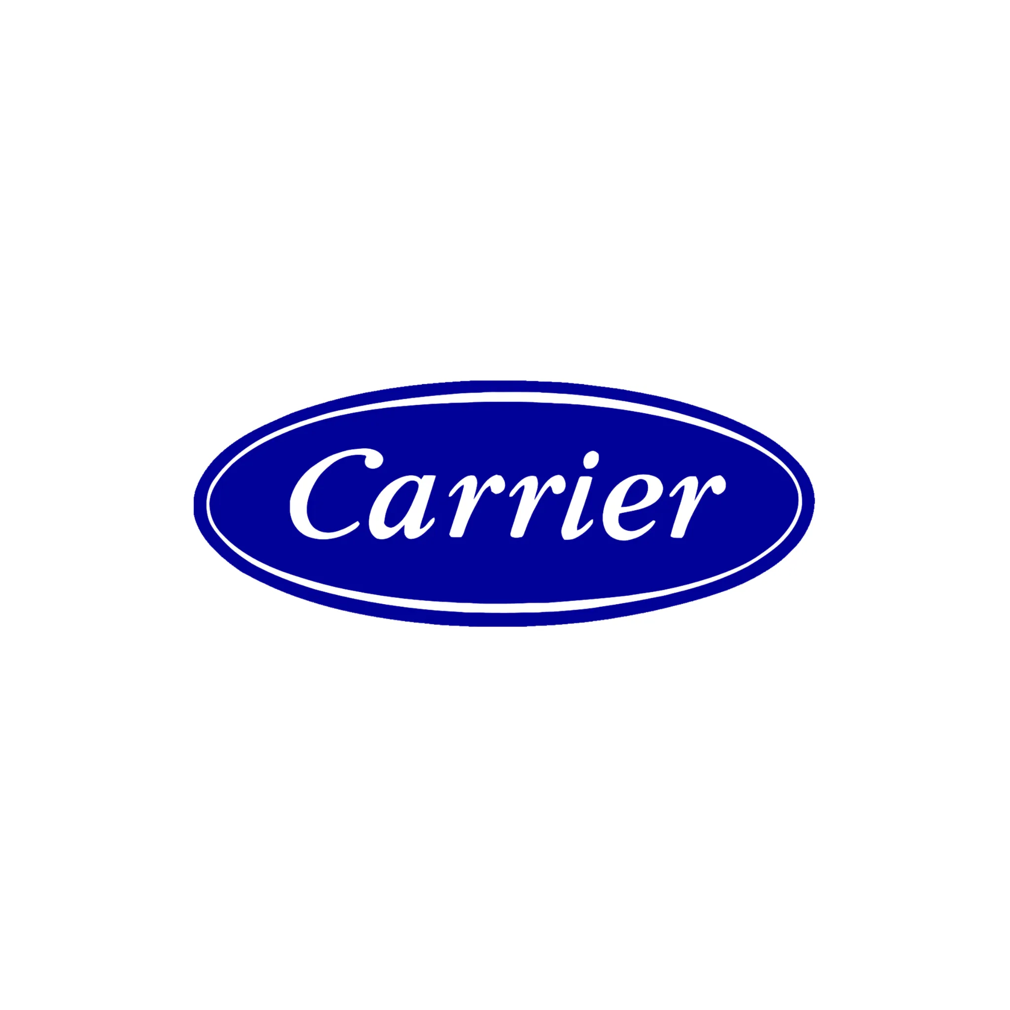 Carrier 50DK406969 Lower Filter Access Door