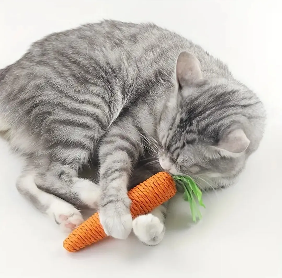 Carrot Dental Chew for Cats
