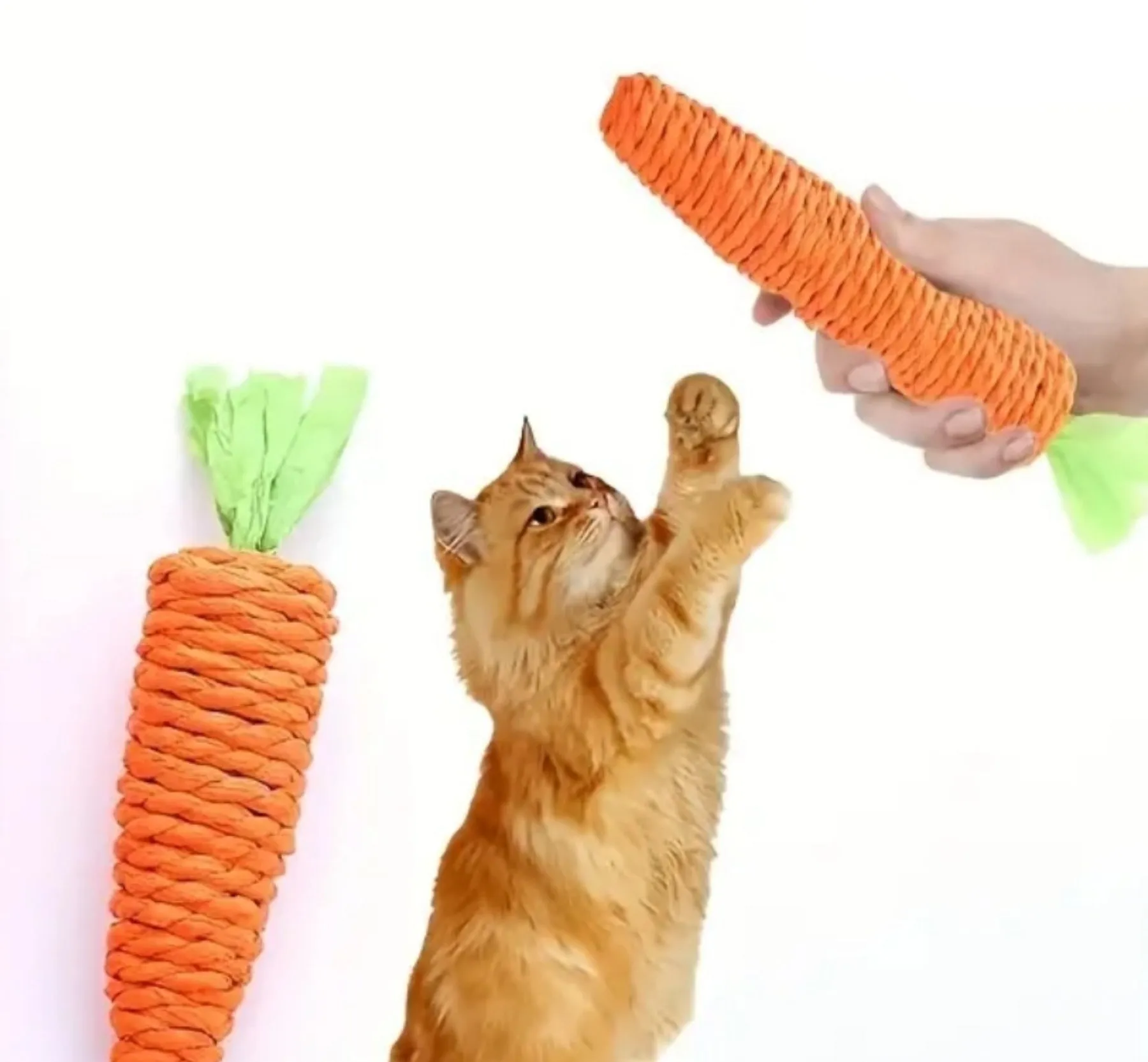 Carrot Dental Chew for Cats