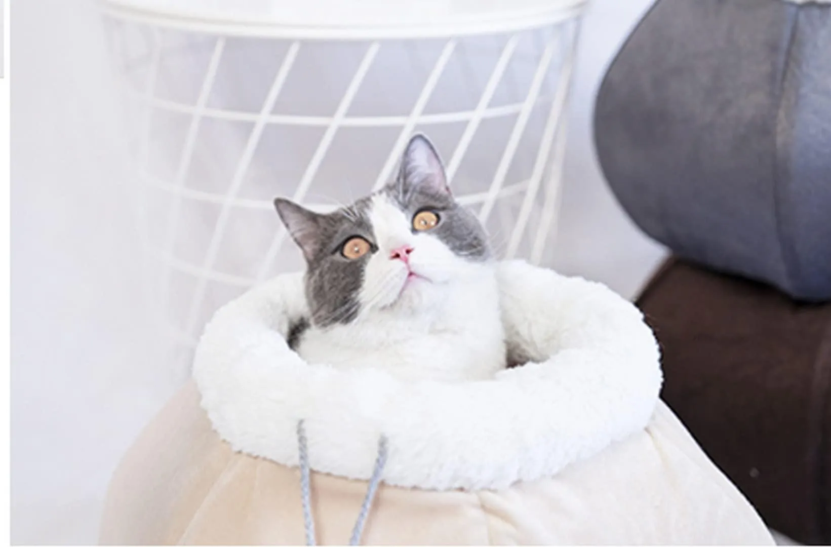 Cat Bed for Indoor Cats Large Kitten House Cat Cave Removable Washable Pillow