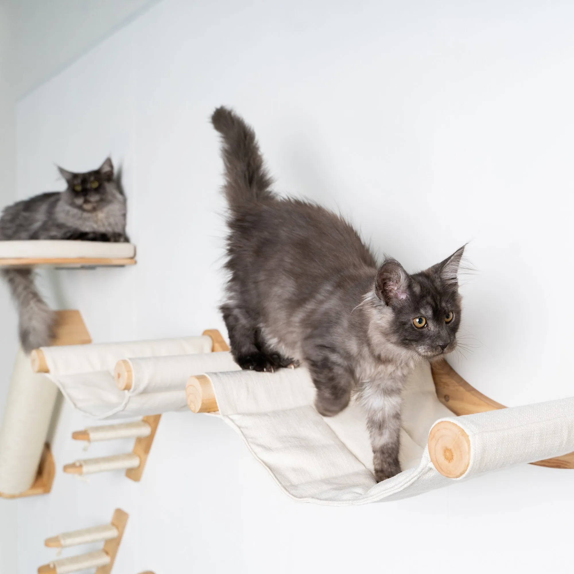 Cat Climbing Wall - Hammock de Luxe XXL (Beige)