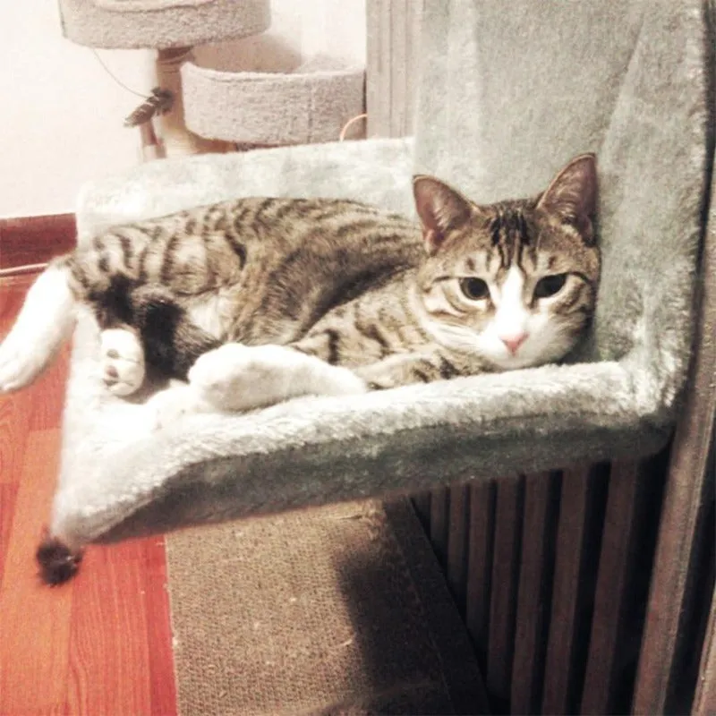 Cat Hanging Bed On Radiator Lounger Hammock for Cats