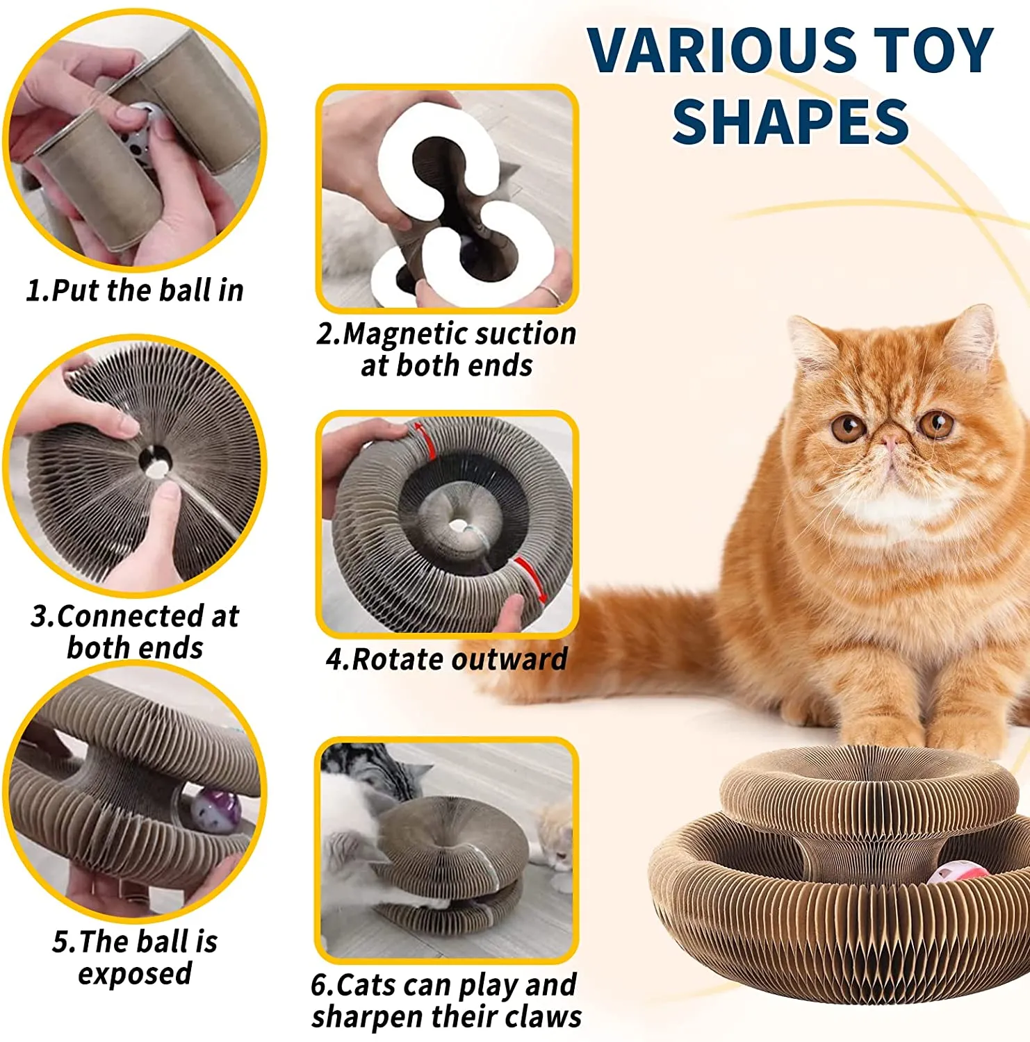 Cat Scratching Board | Magic Organ