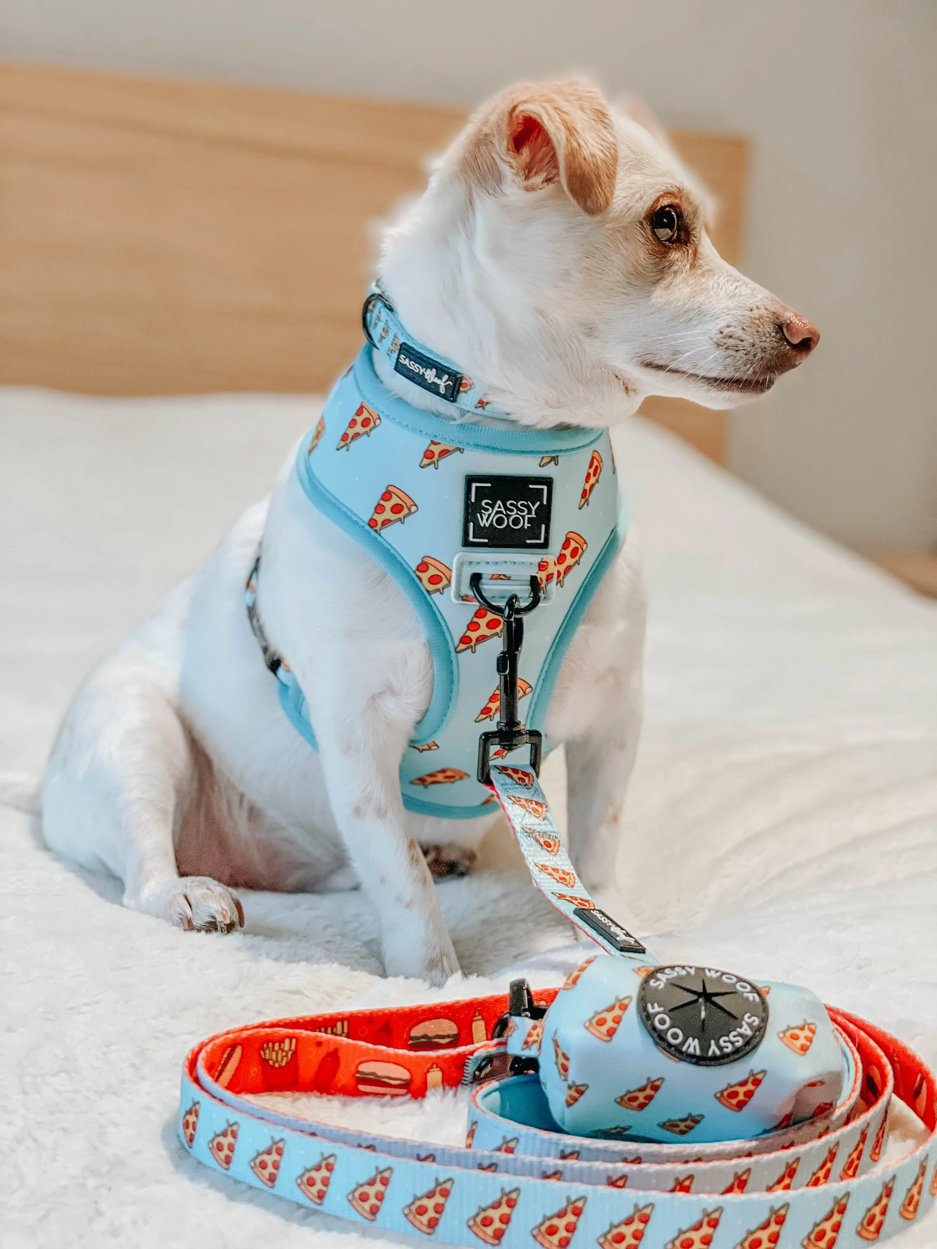 Dog Collar - One Hot Pupperoni