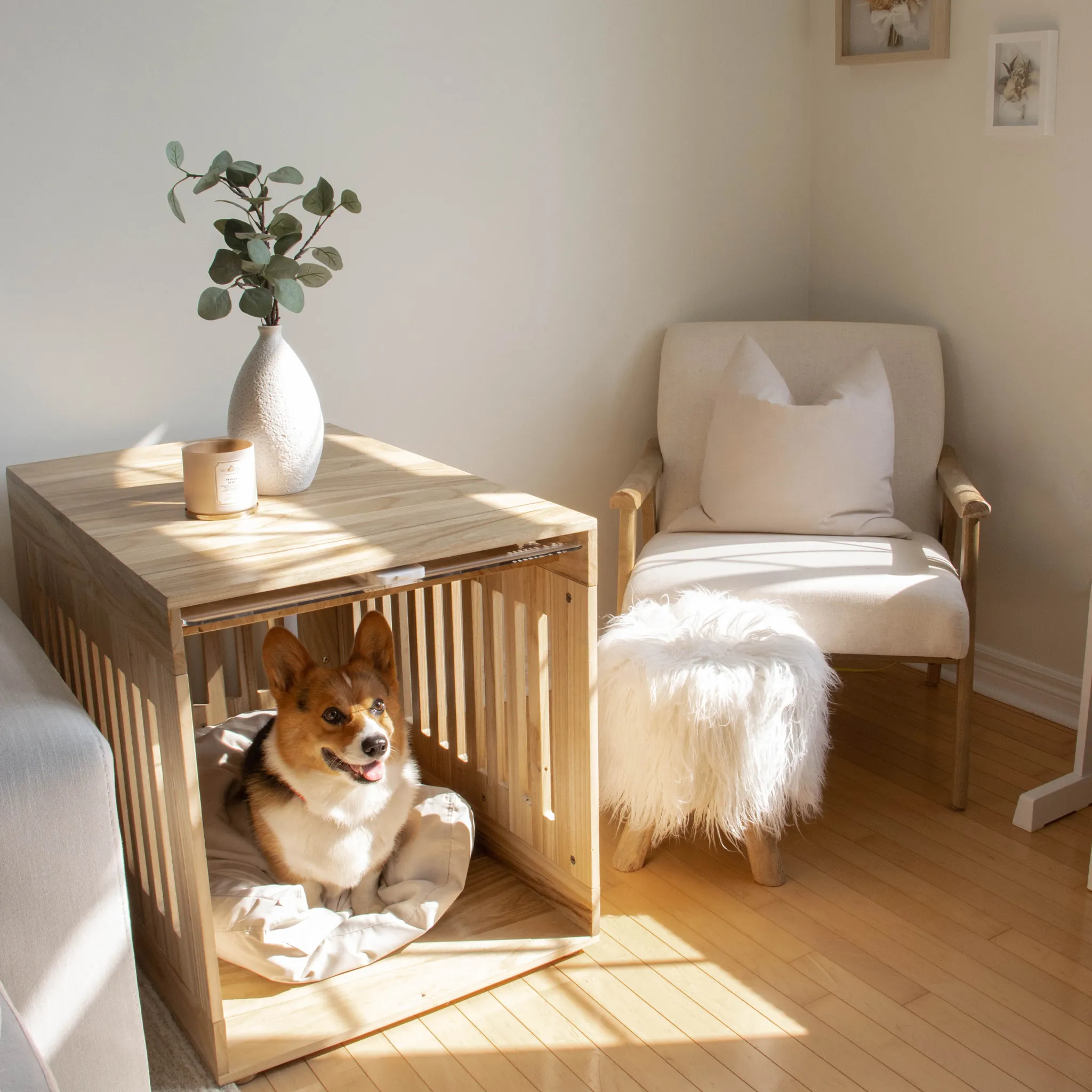 Dog Crate