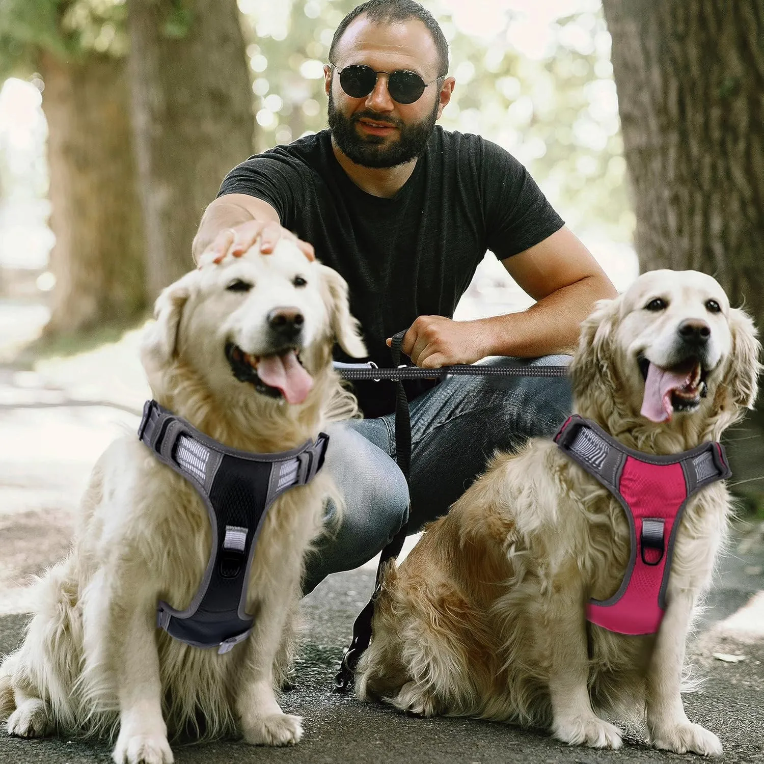 Dog Harness Medium Large Sized Dog Four-Layer Mesh Breathable Reflective Dog Collars, Puppy Harness and Leash Set Training Suit for All SeasonsBlack M Size