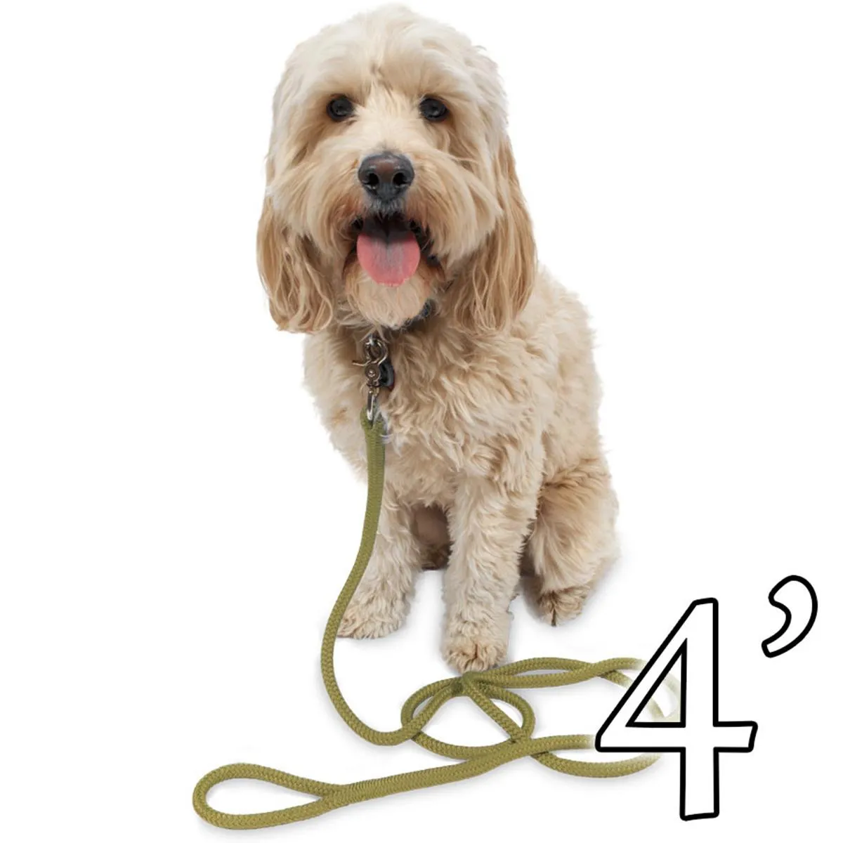 Dog Leash - 1/2" Braided Nylon