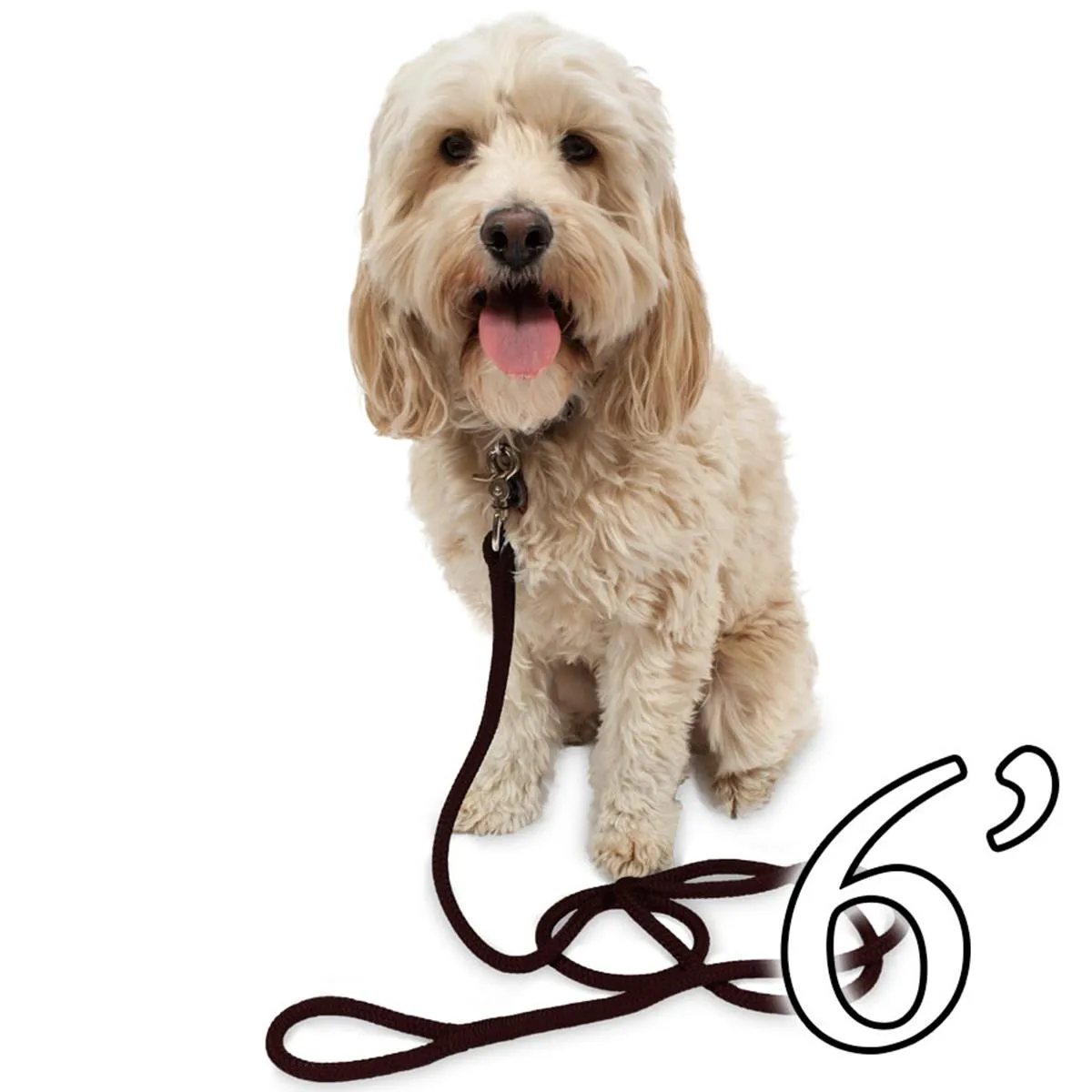 Dog Leash - 1/2" Braided Nylon