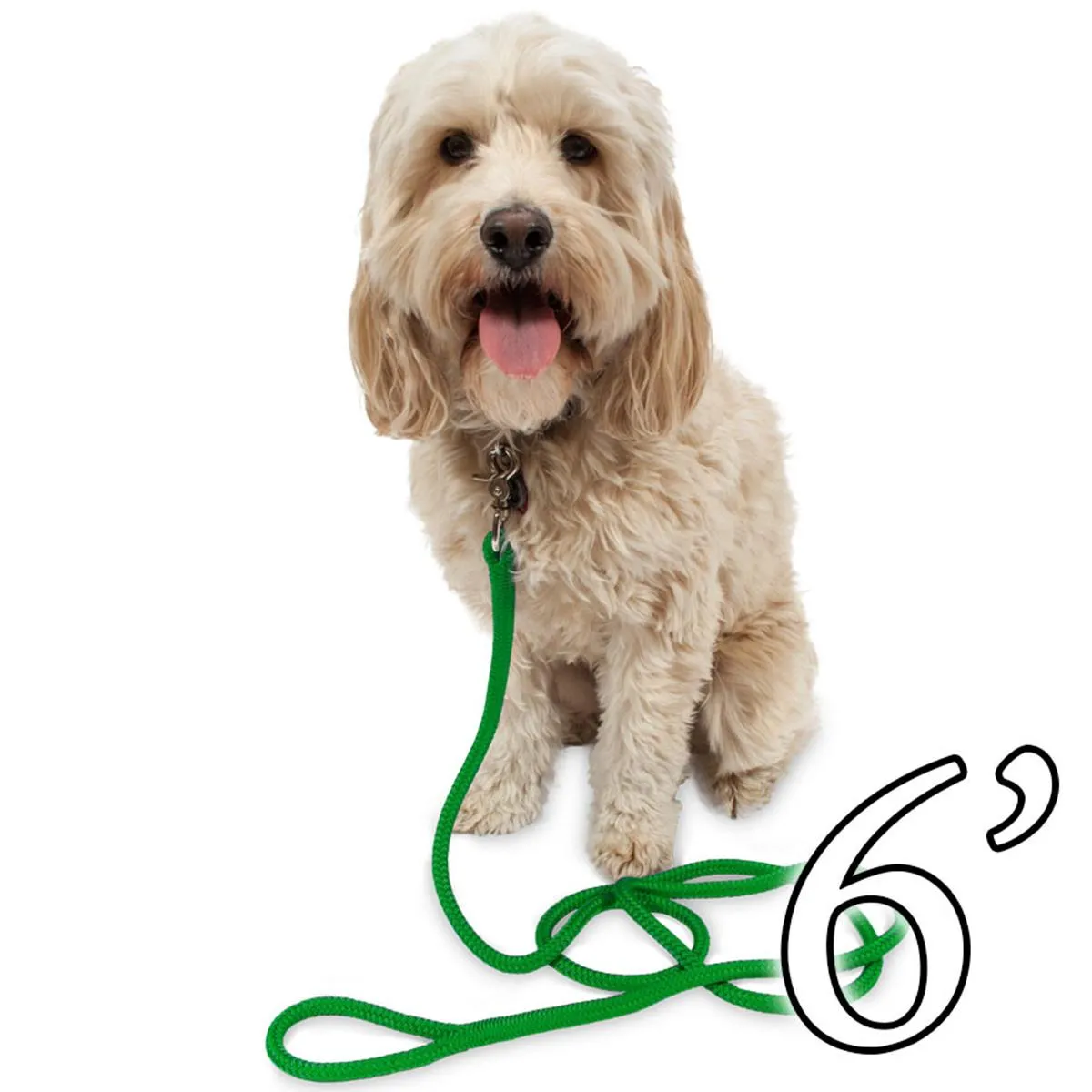 Dog Leash - 1/2" Braided Nylon