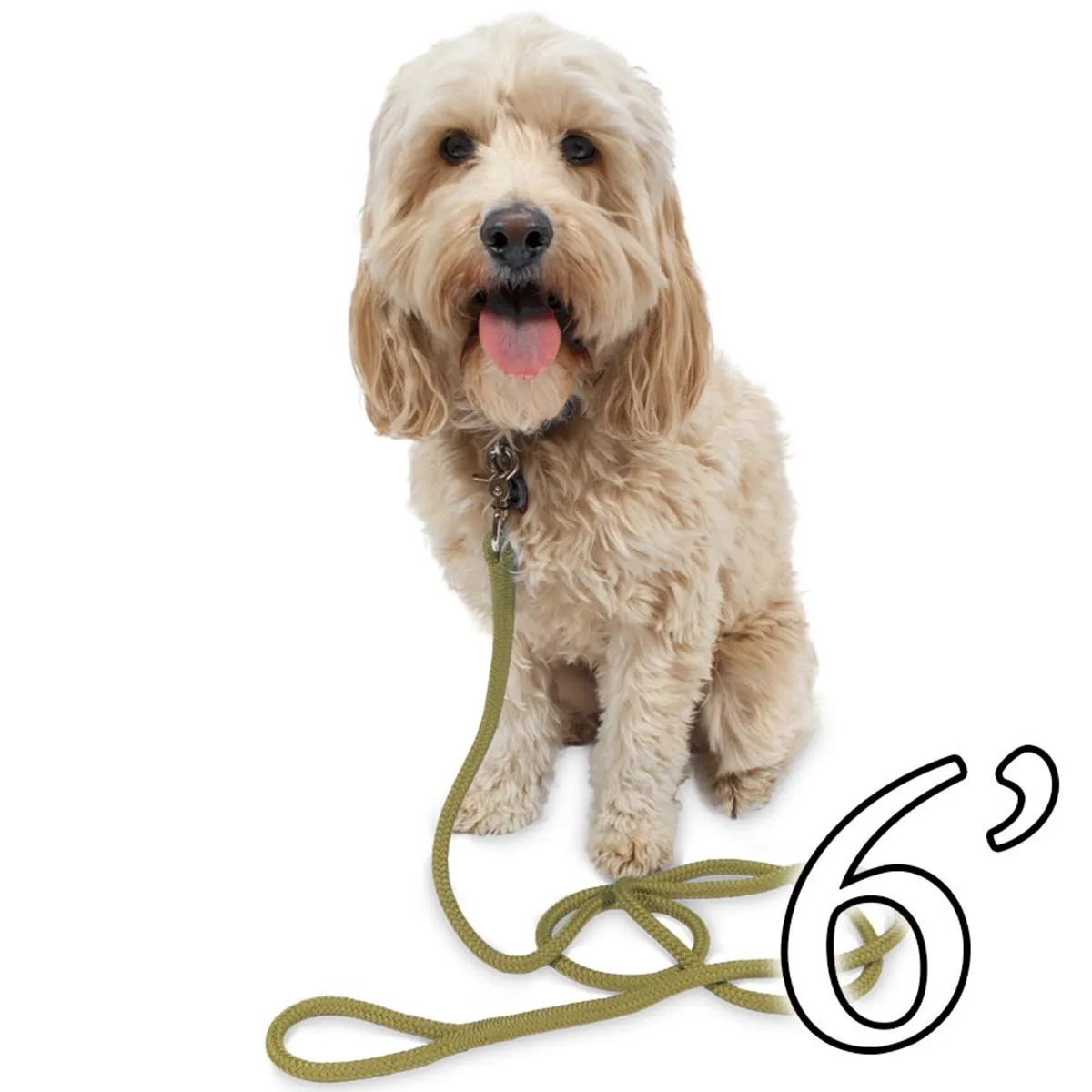 Dog Leash - 1/2" Braided Nylon
