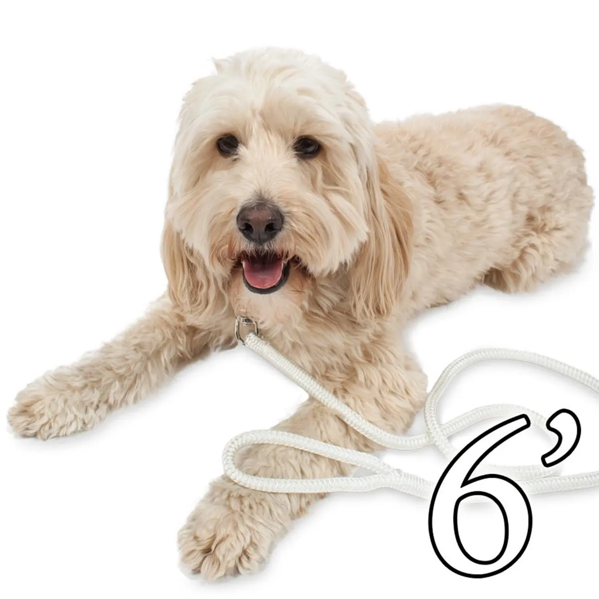 Dog Leash - 1/2" Braided Nylon