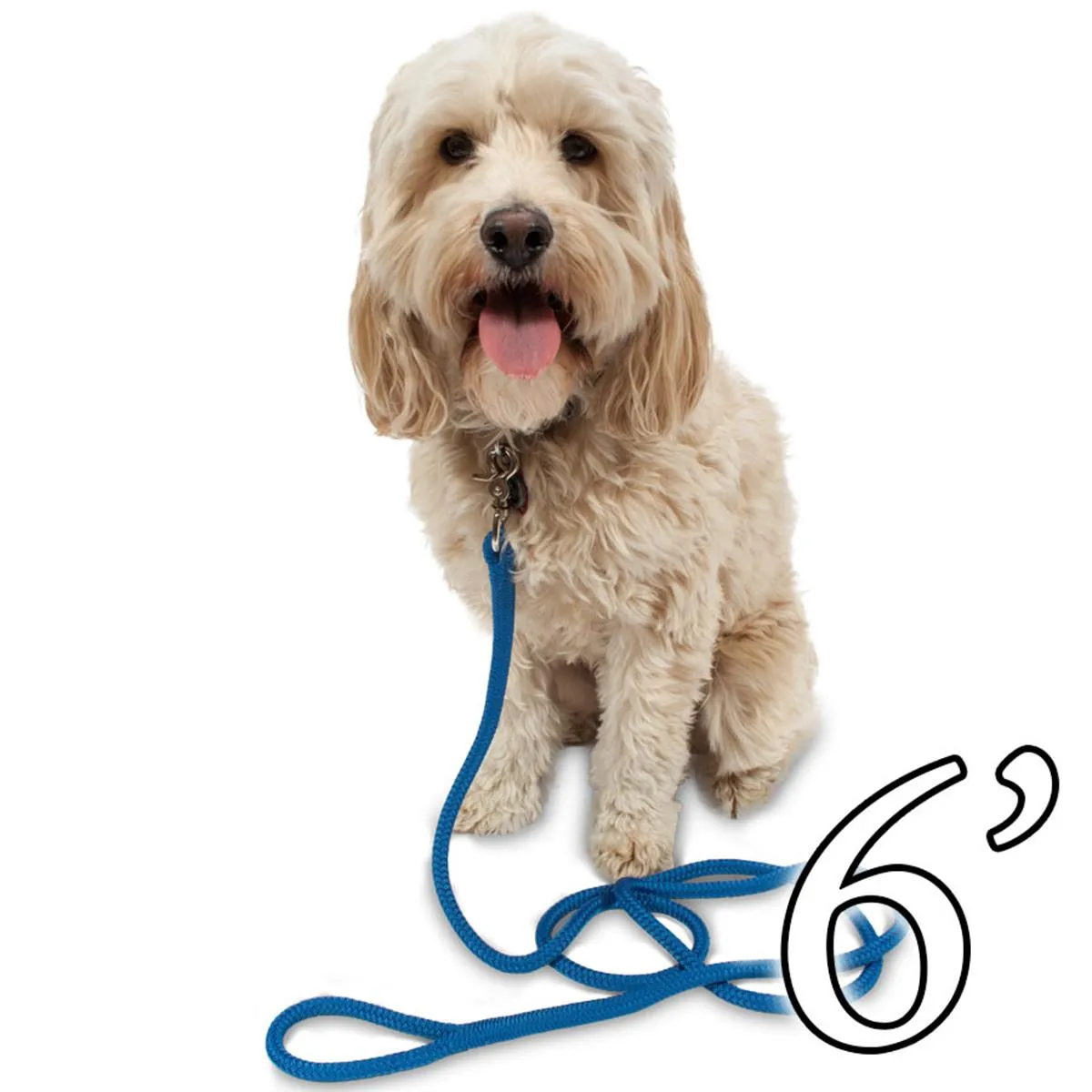 Dog Leash - 1/2" Braided Nylon