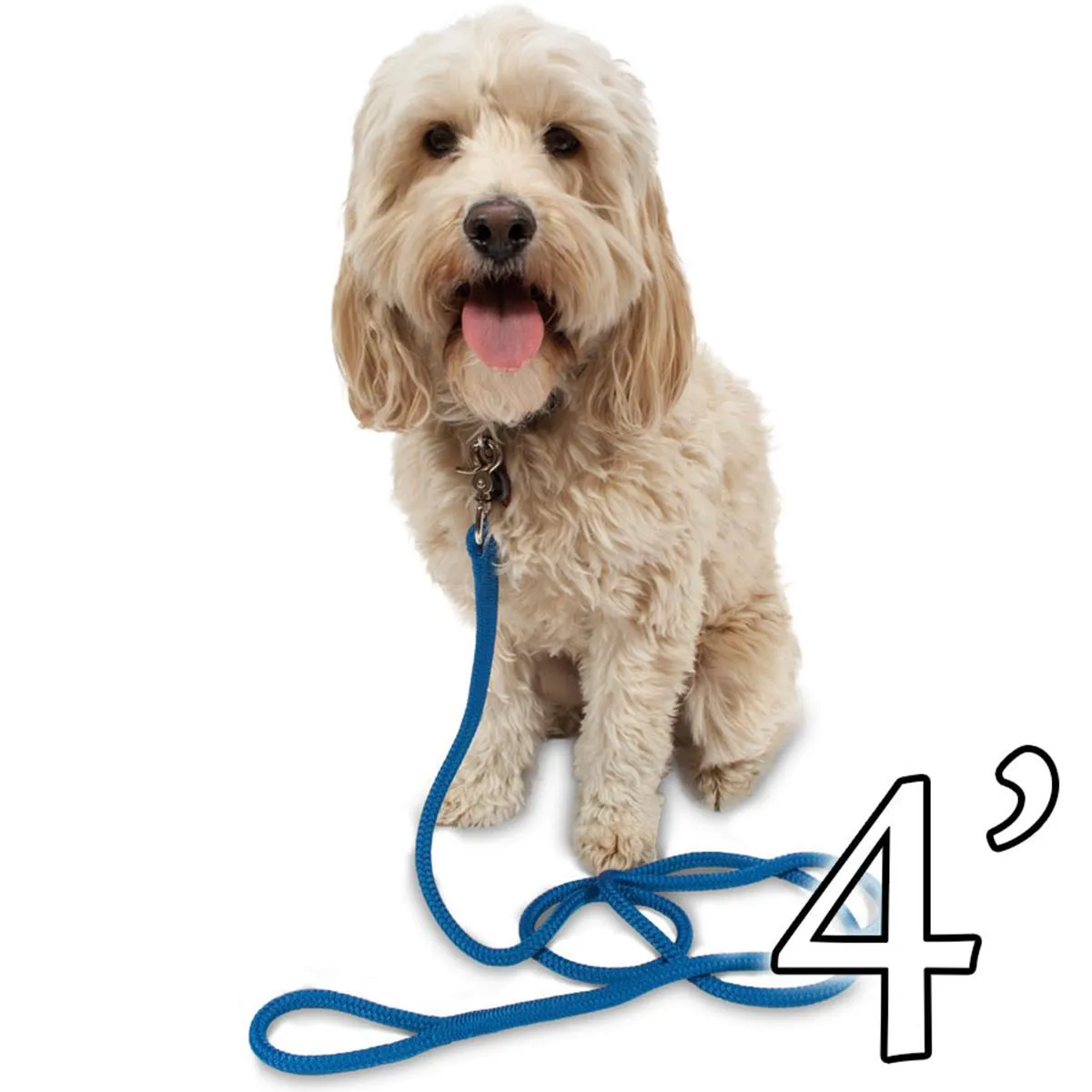 Dog Leash - 1/2" Braided Nylon