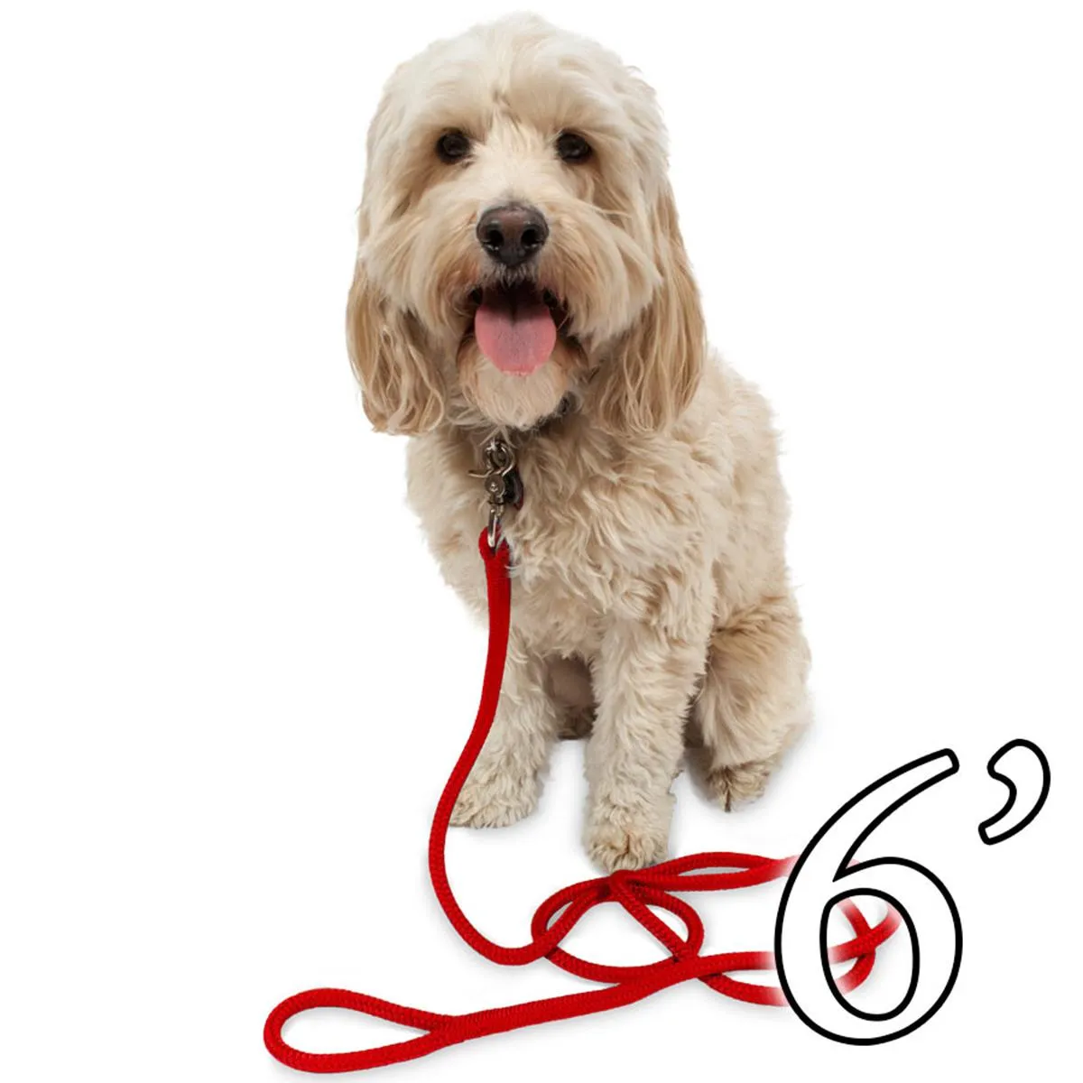 Dog Leash - 1/2" Braided Nylon