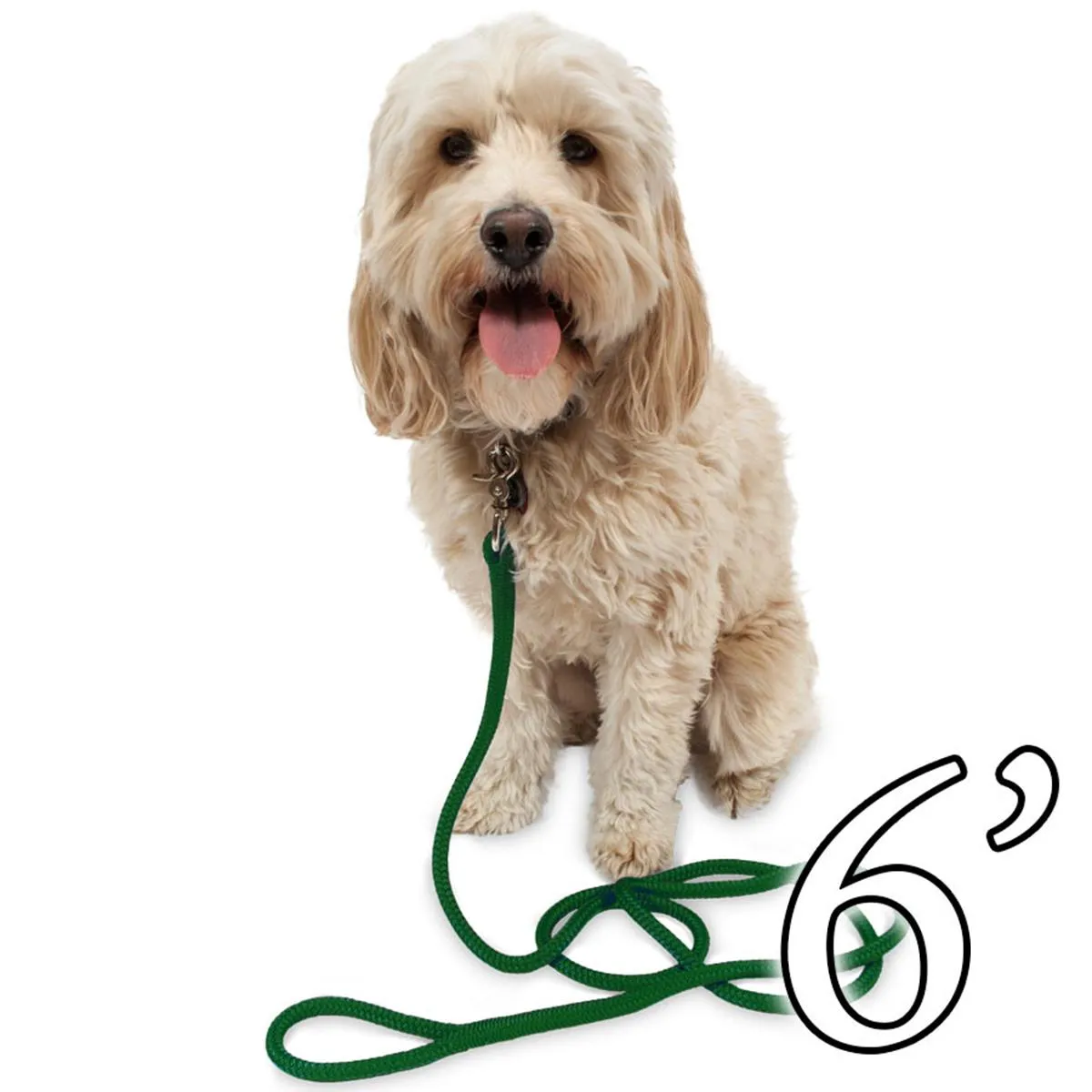 Dog Leash - 1/2" Braided Nylon