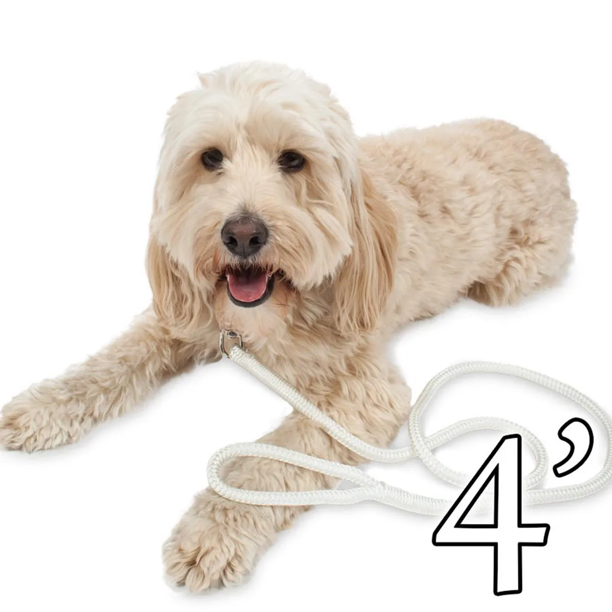 Dog Leash - 1/2" Braided Nylon