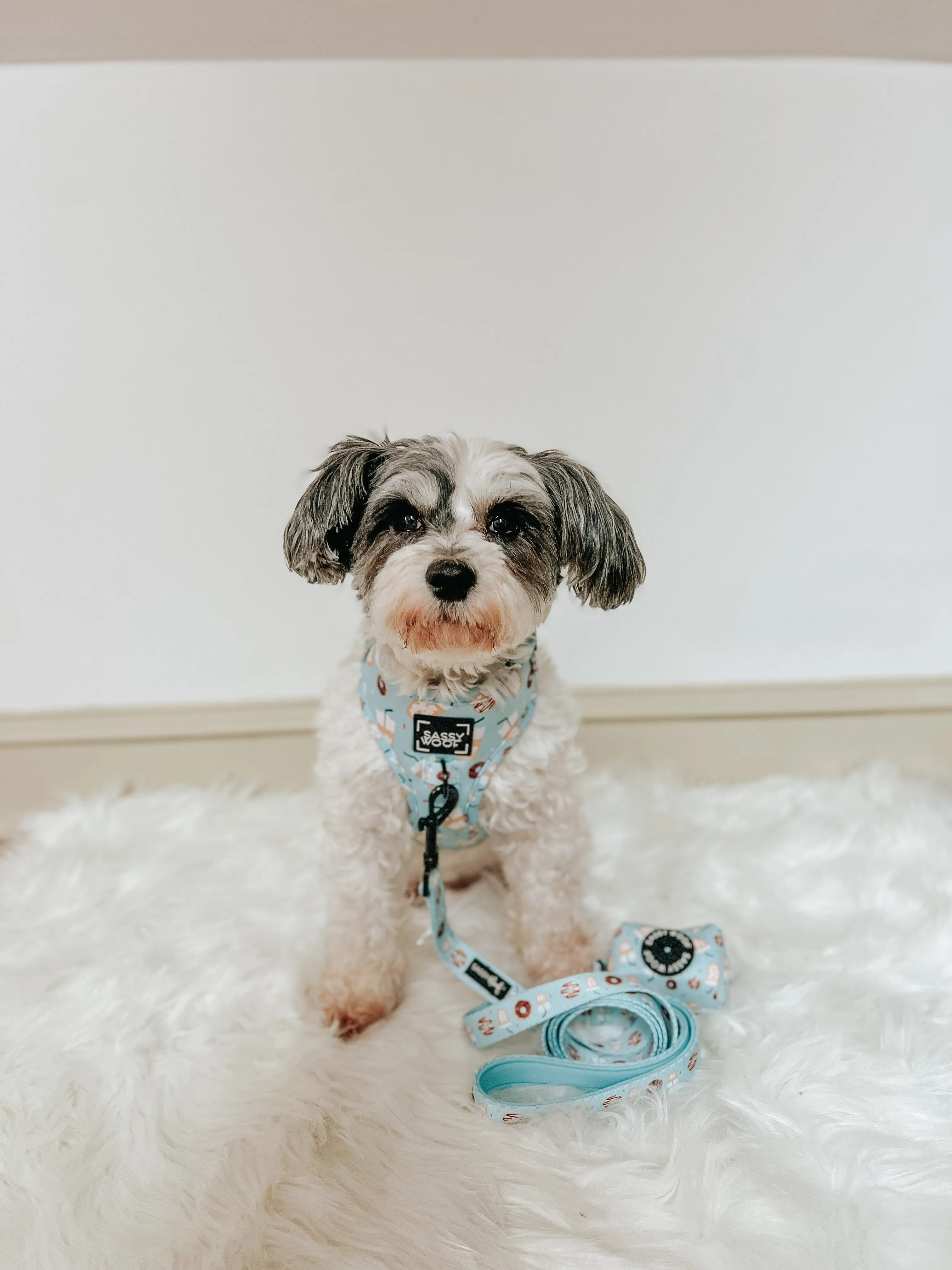 Dog Waste Bag Holder - Sweets & Pawfee