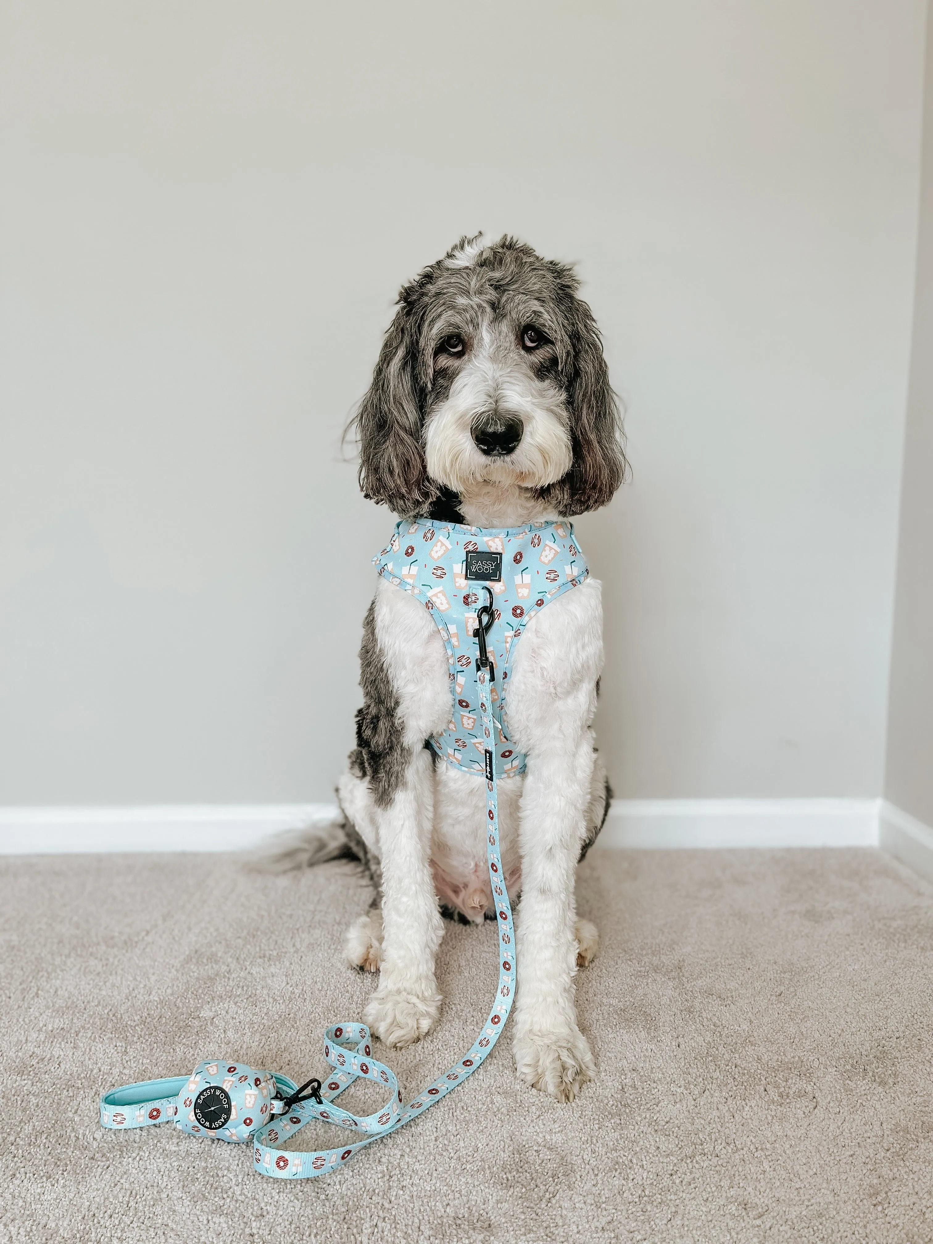 Dog Waste Bag Holder - Sweets & Pawfee
