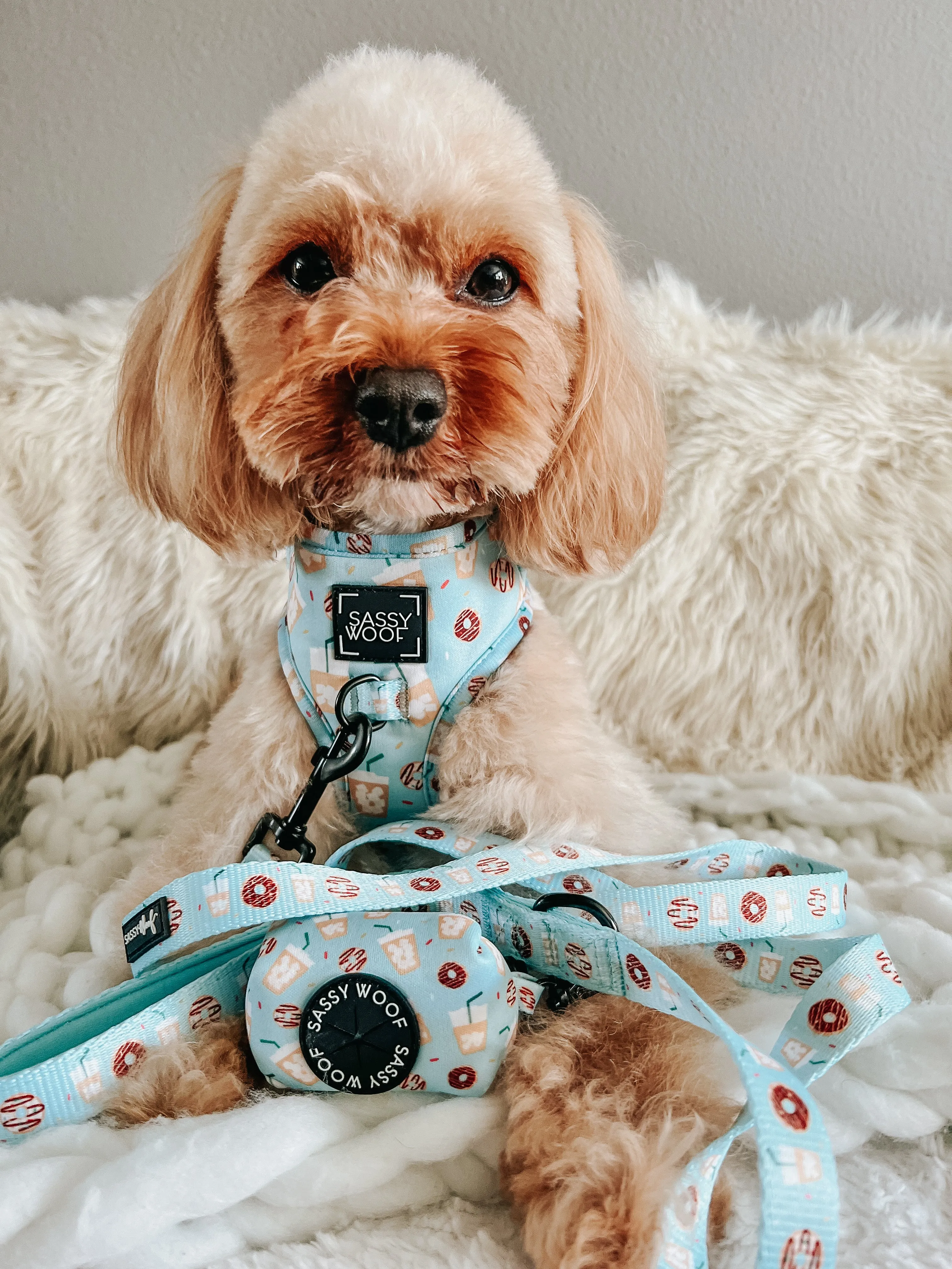 Dog Waste Bag Holder - Sweets & Pawfee