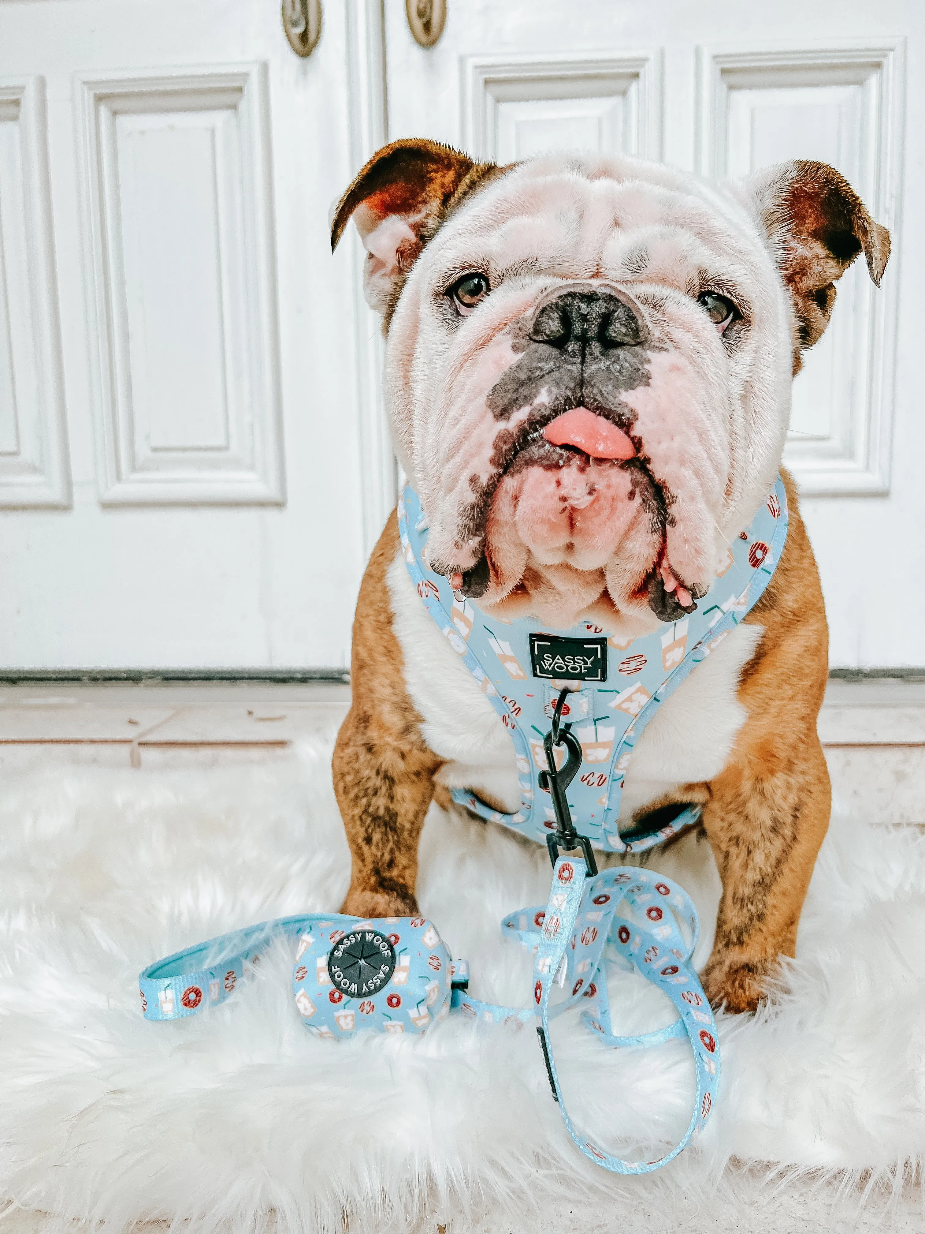 Dog Waste Bag Holder - Sweets & Pawfee