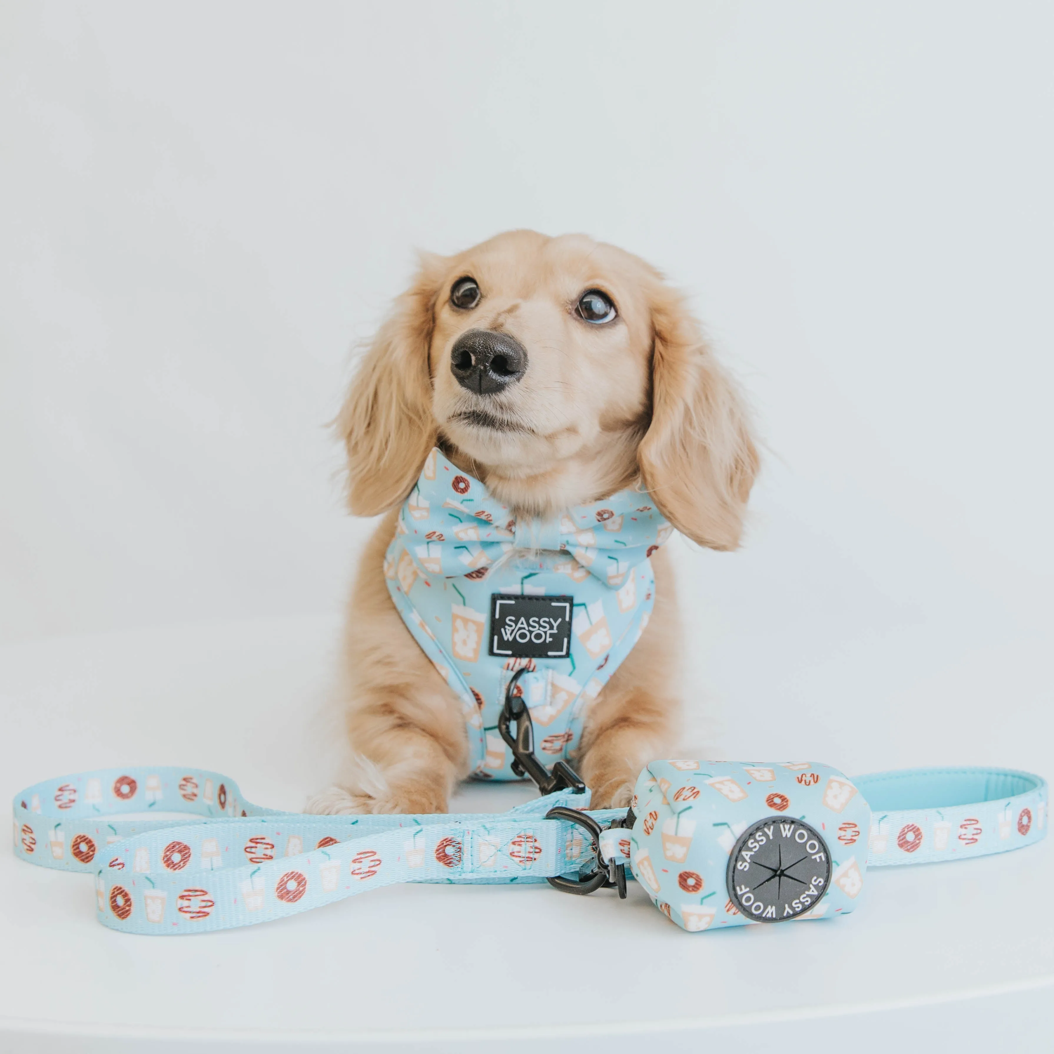 Dog Waste Bag Holder - Sweets & Pawfee