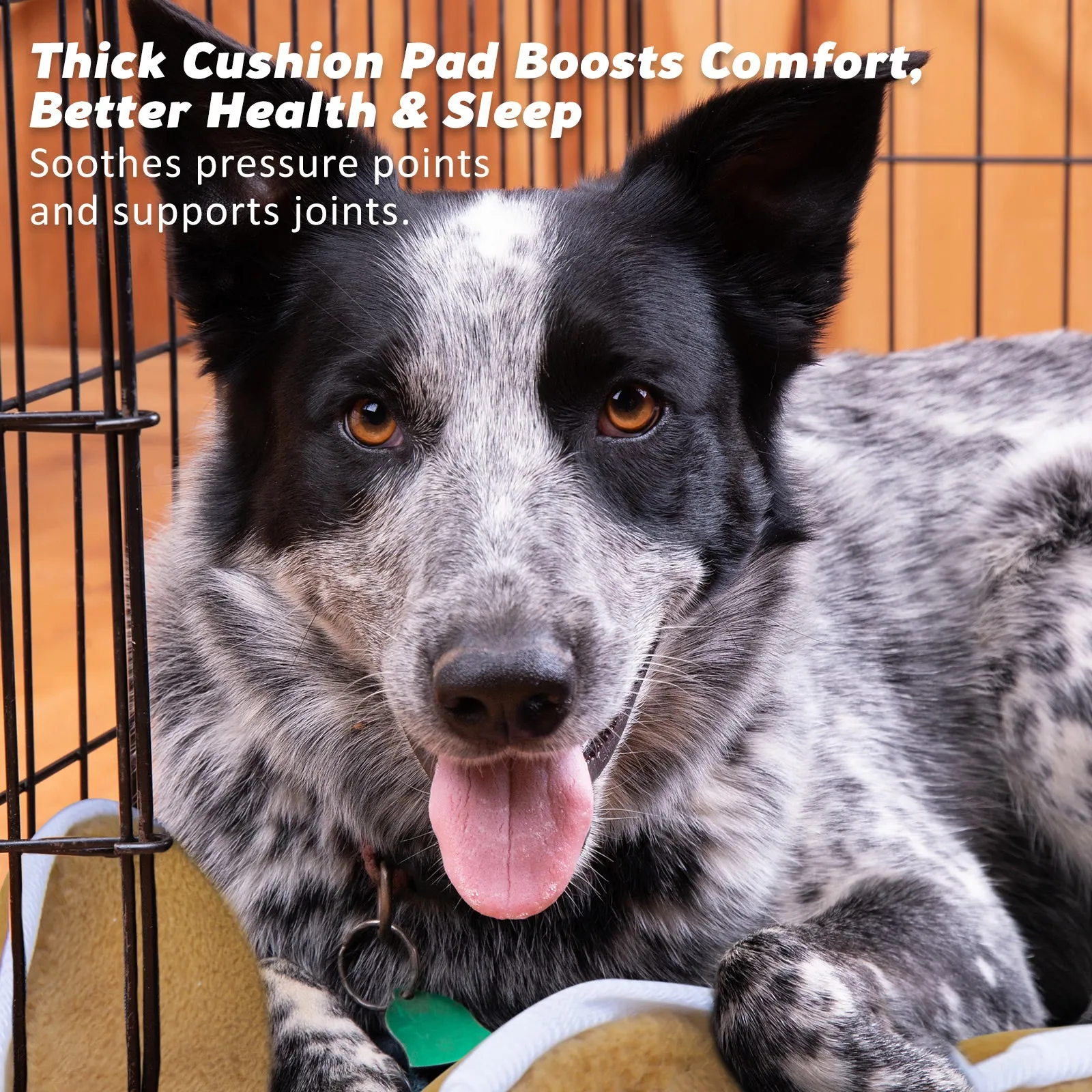 Durable Foldable Dog Crate 42in with Cushion, Tray