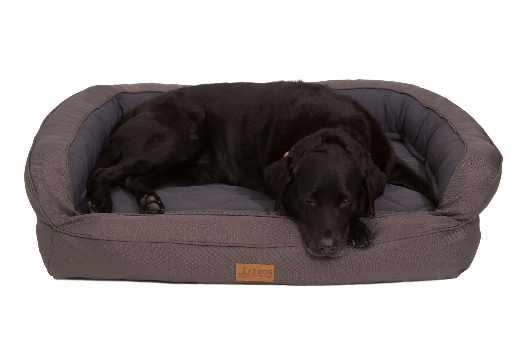 EZ-Wash Softshell Headrest Memory Foam Dog Bed
