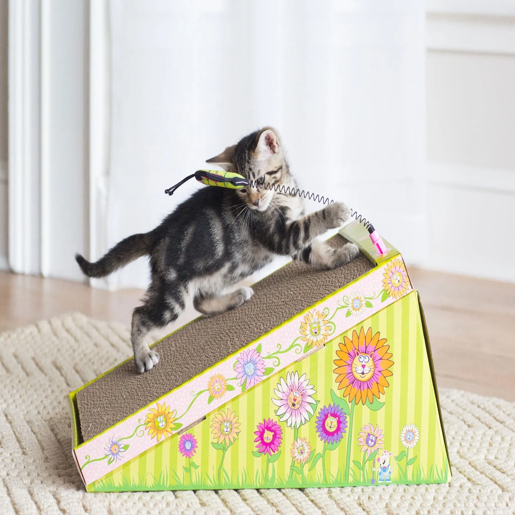 FAT CAT Big Mama's Scratch 'N Play Ramp