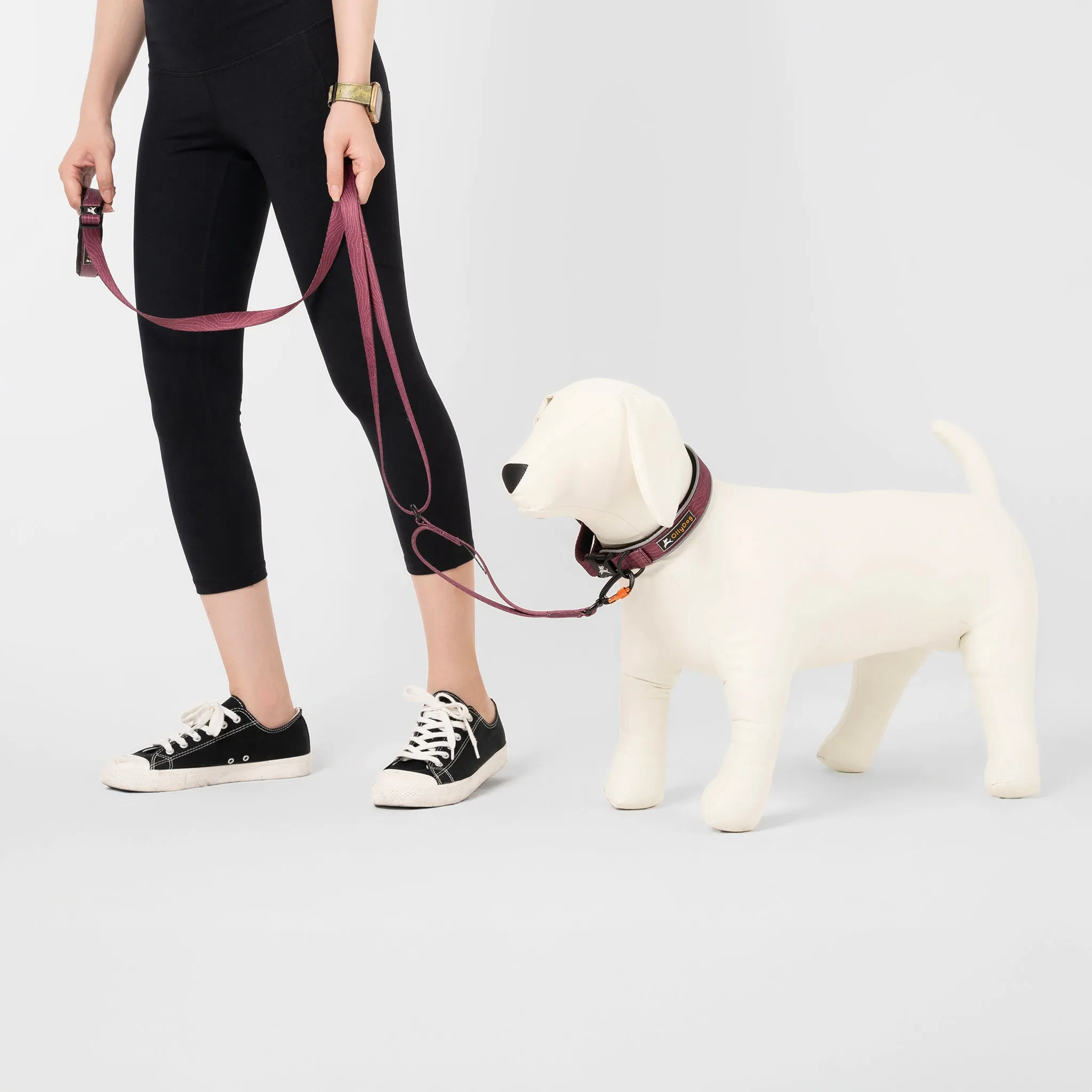 Flagstaff Reflective Comfort Collar | Padded Dog Collar