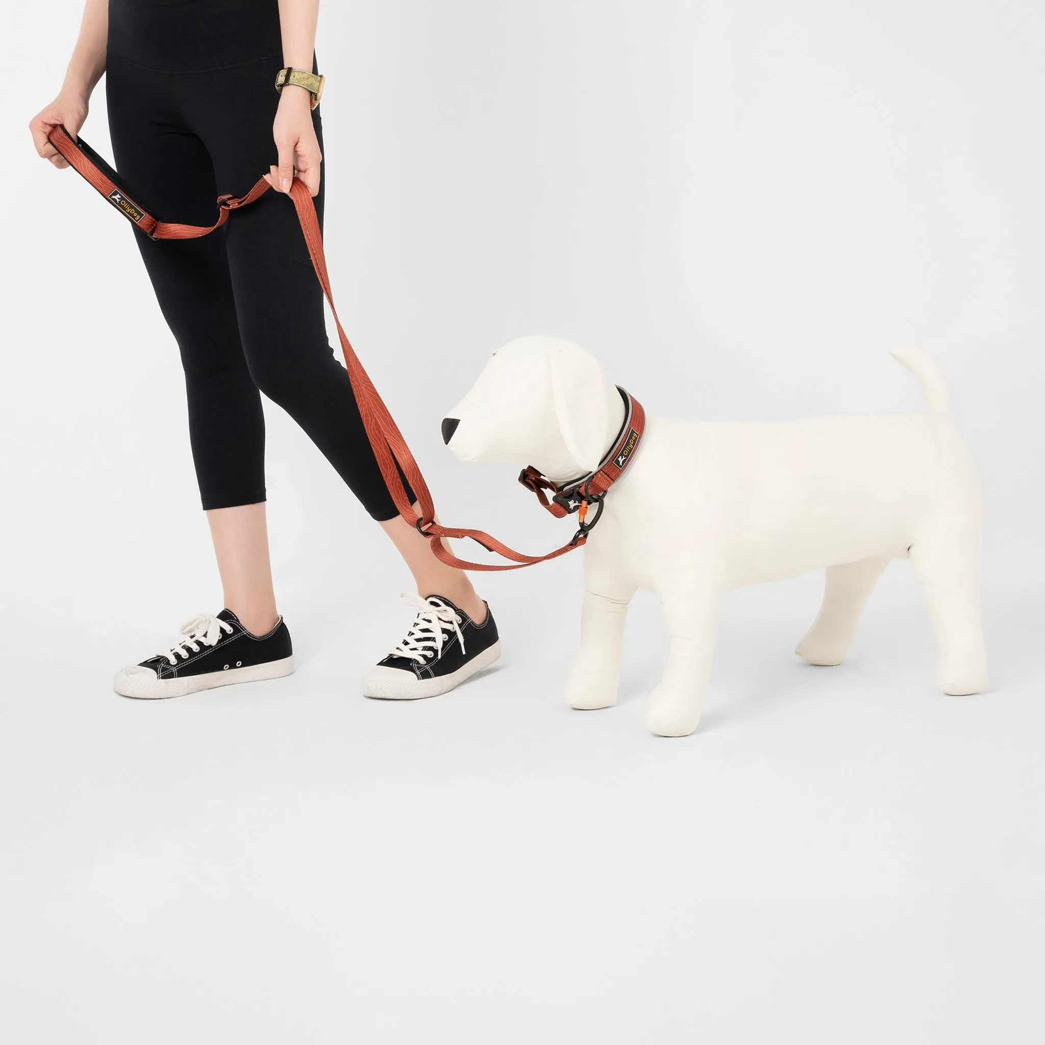 Flagstaff Reflective Comfort Collar | Padded Dog Collar