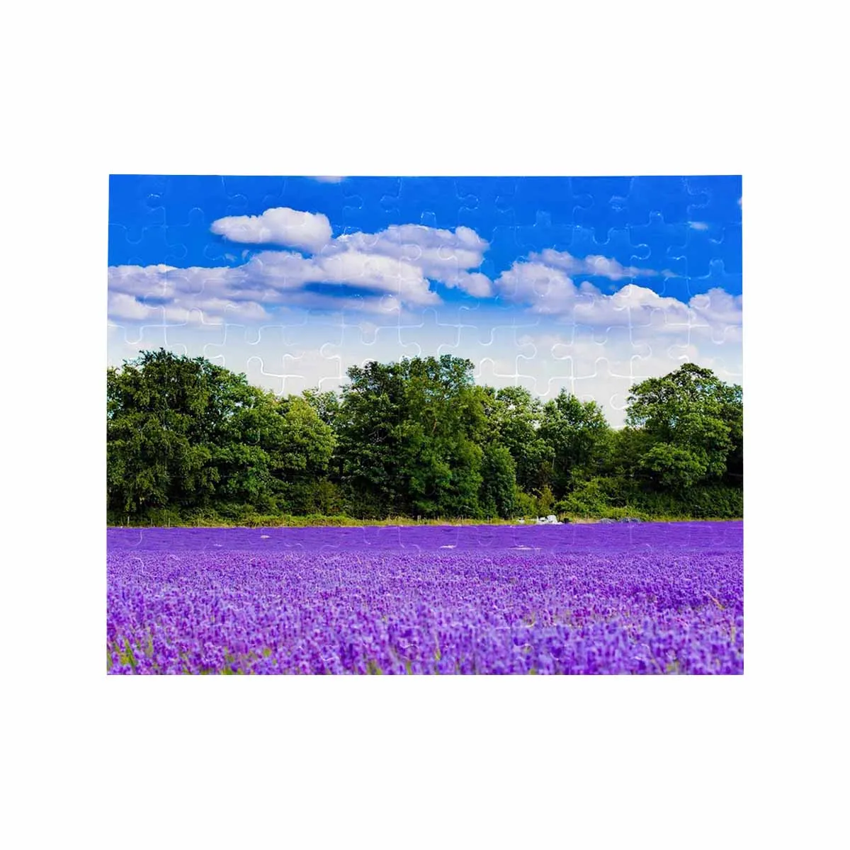 Flower Field Rectangle Jigsaw Puzzle Best Indoor Gifts 110 Pieces