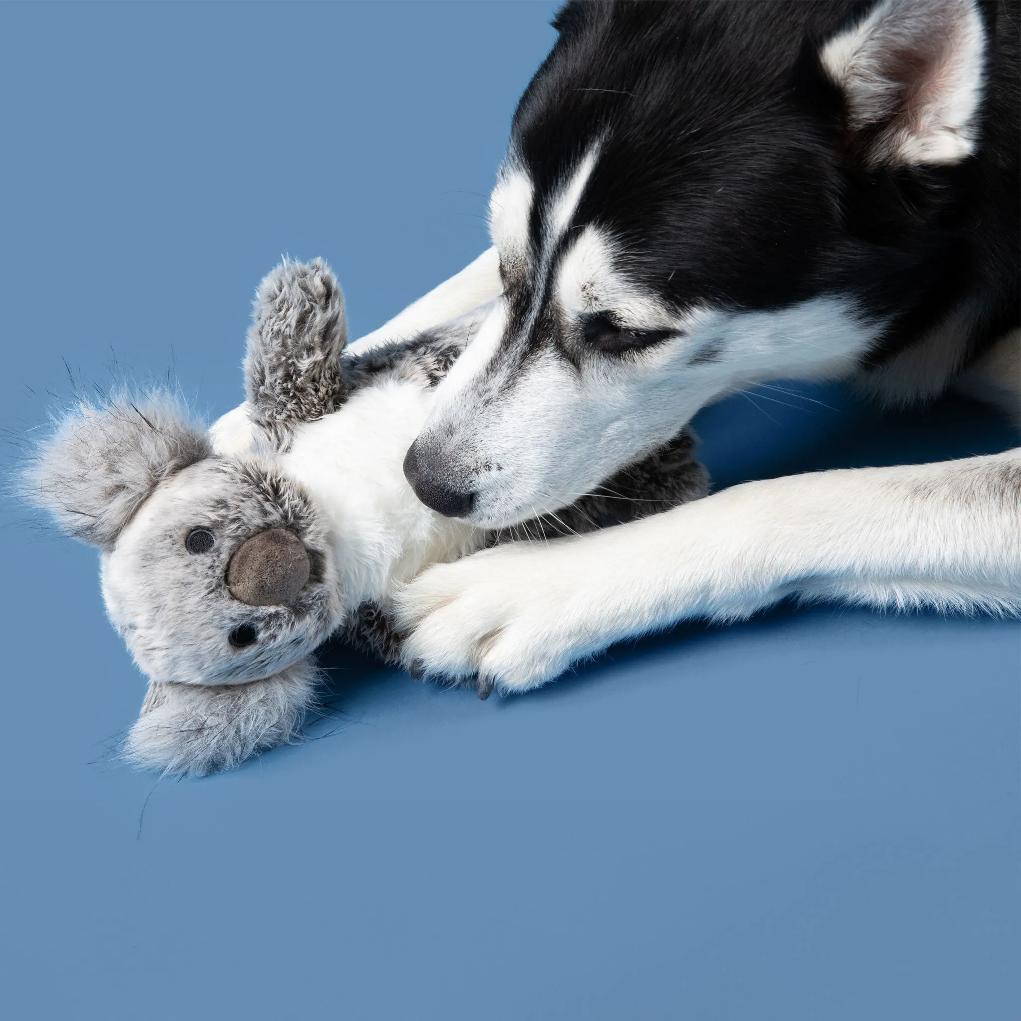 Fluff & Tuff Koala Dog Toy